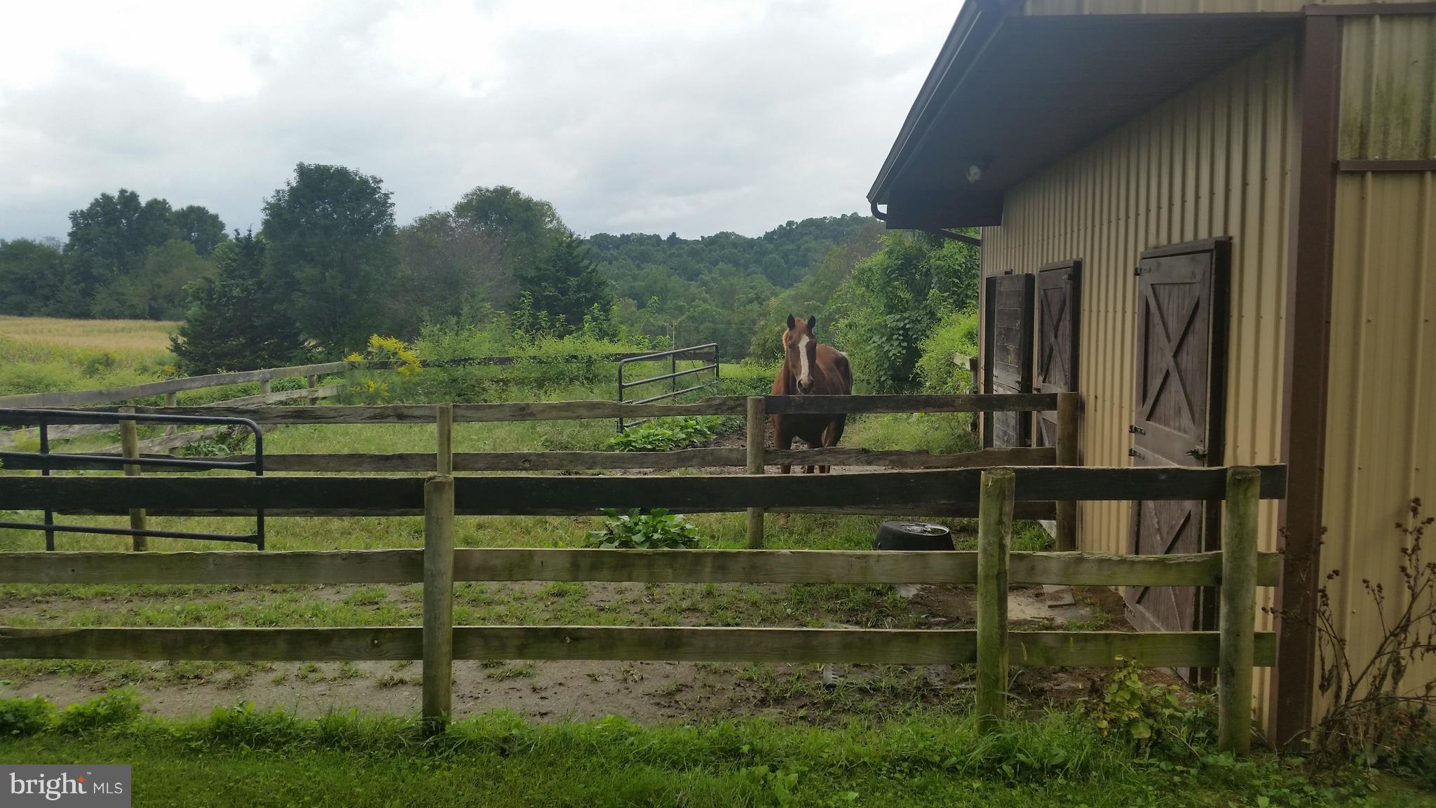 LOWER WINDSOR TWP - Farm