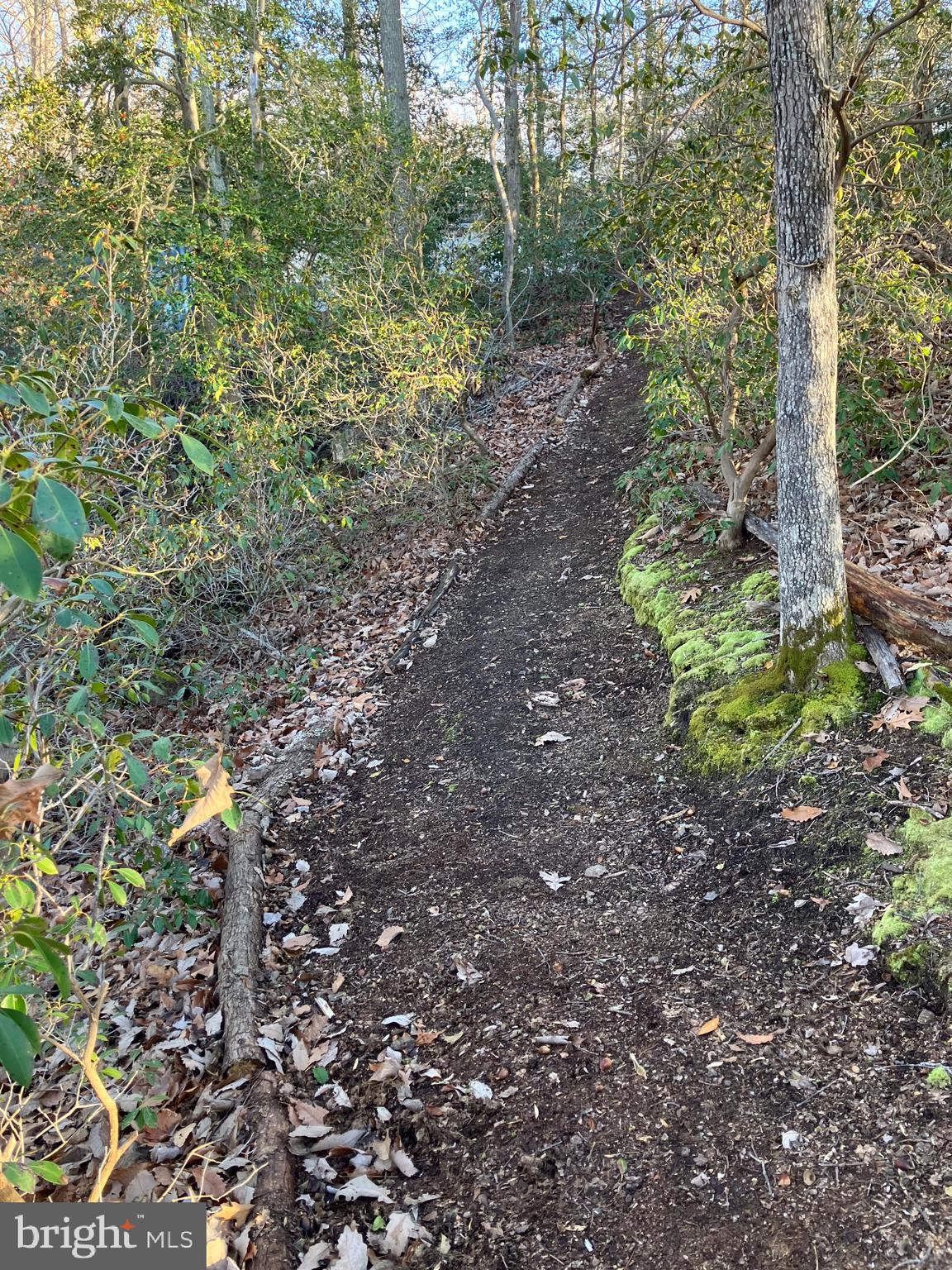 RIVERWOOD FARMS - Residential