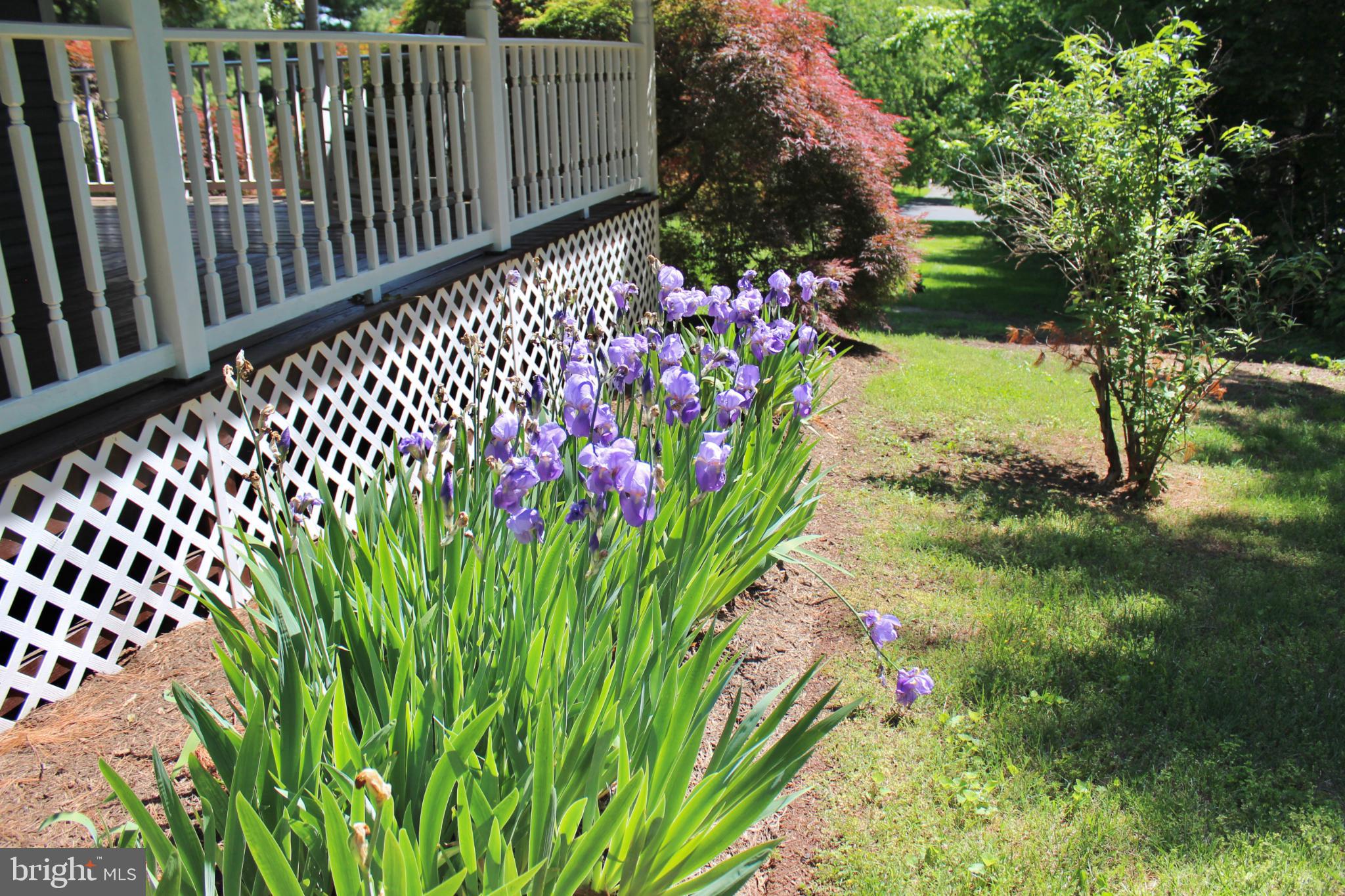 GYPSUM HILL - Residential