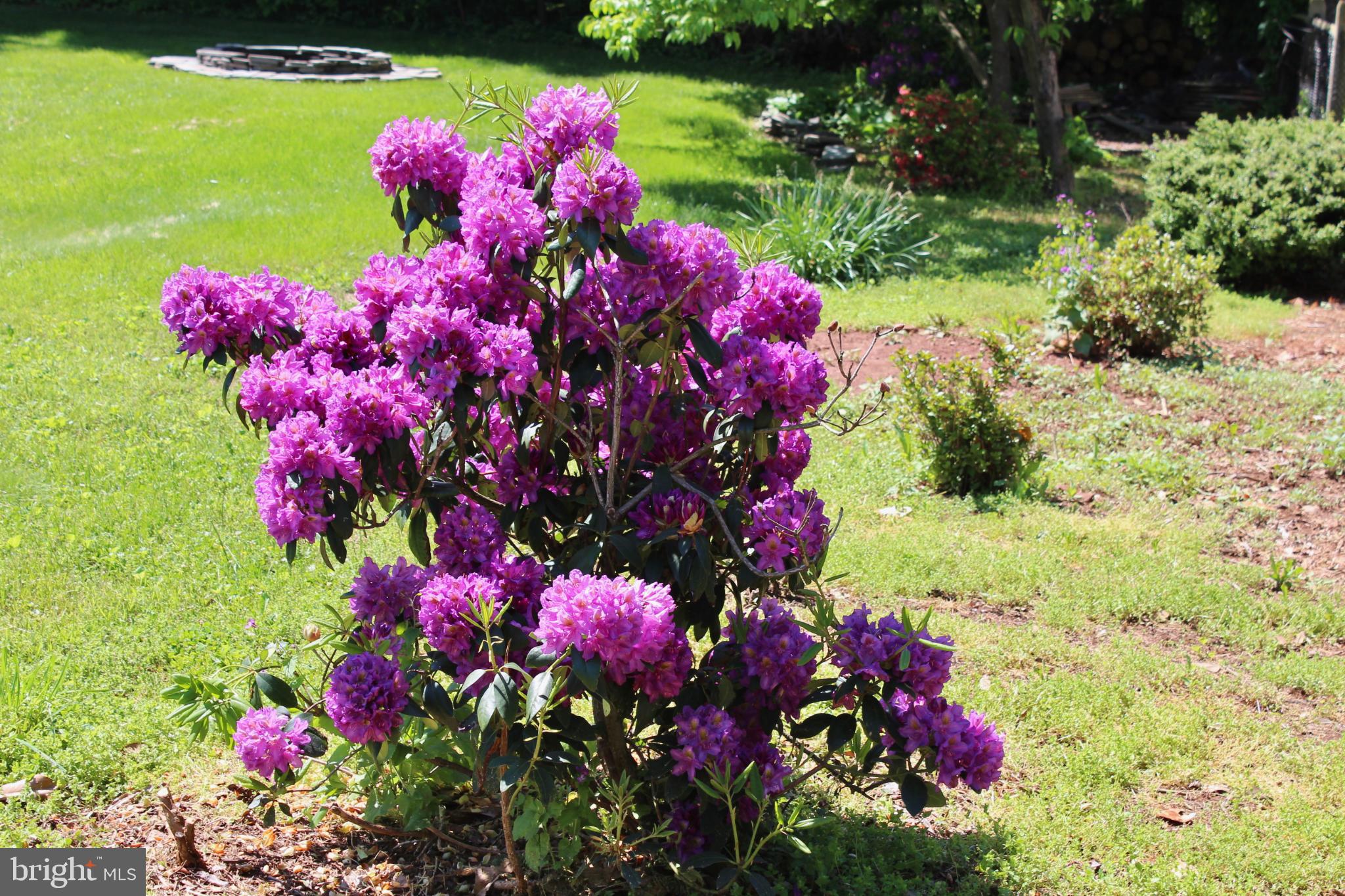 GYPSUM HILL - Residential