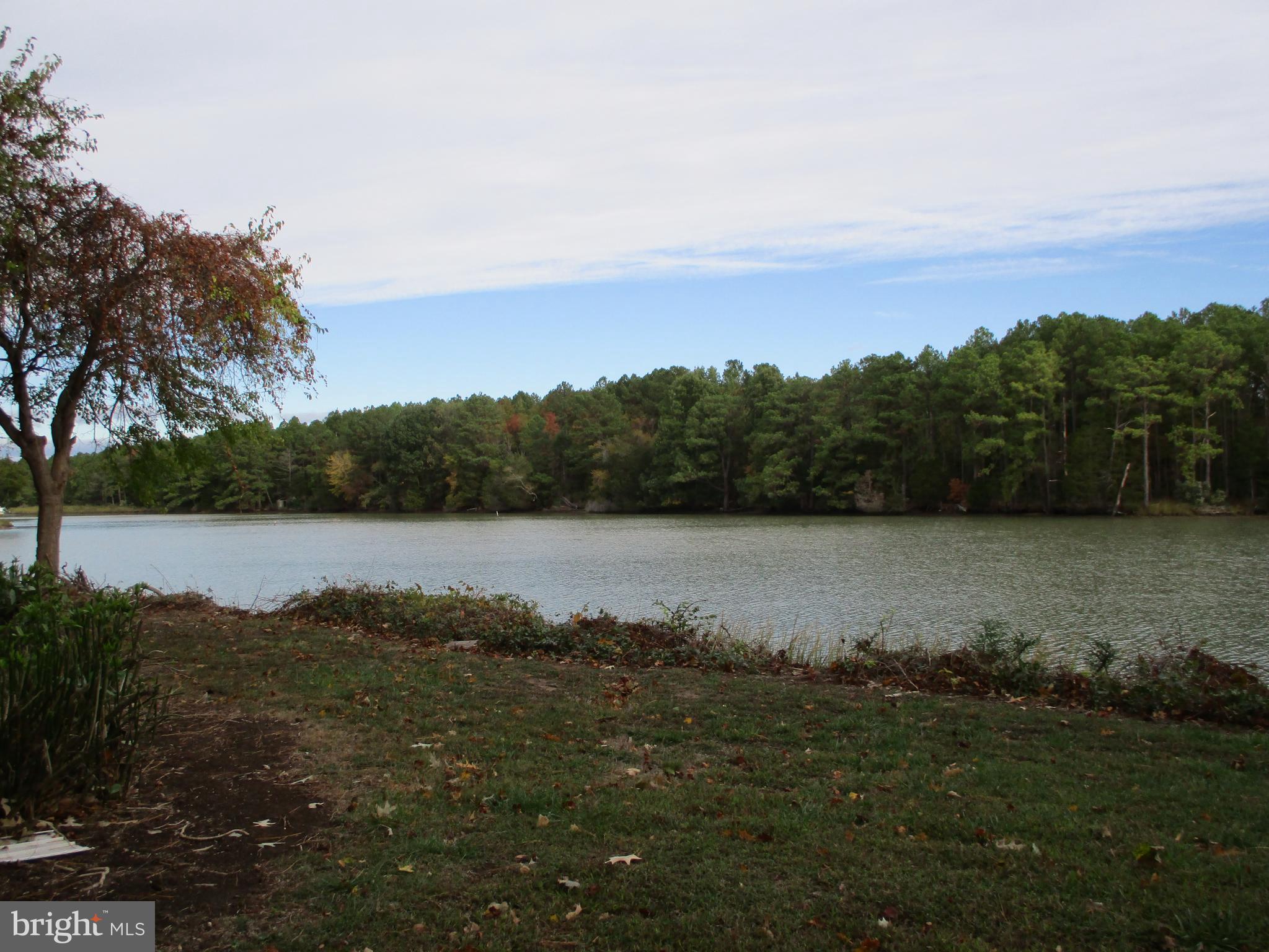 ST. GEORGES - Residential