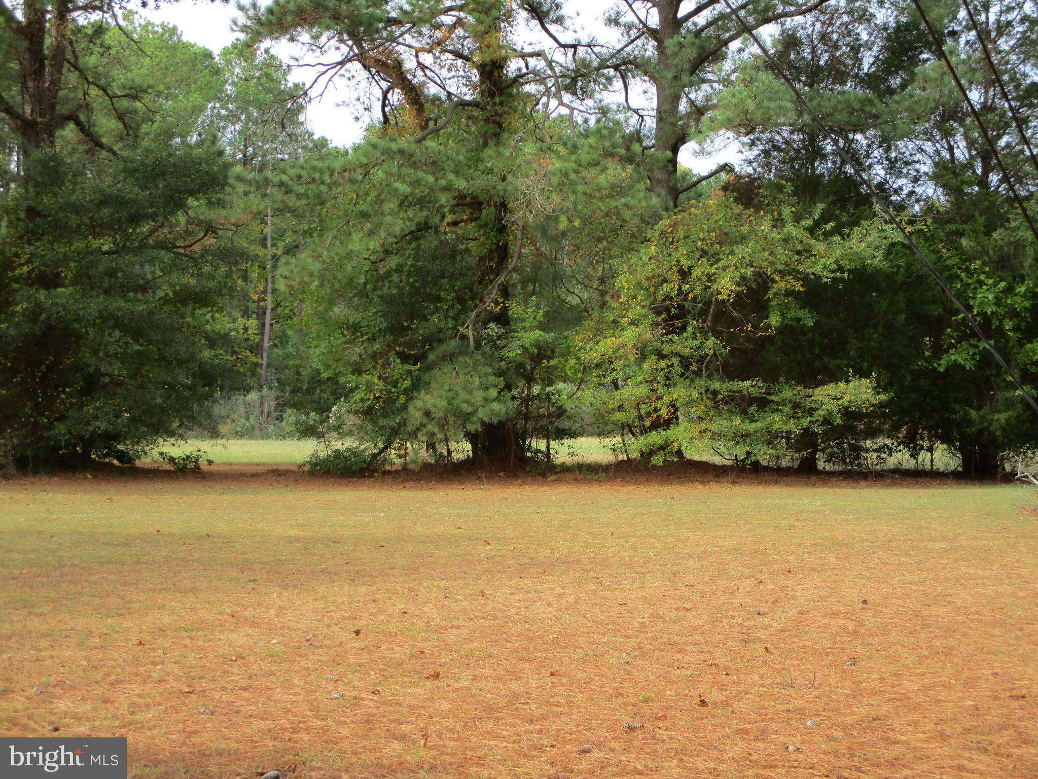 ST. GEORGES - Residential