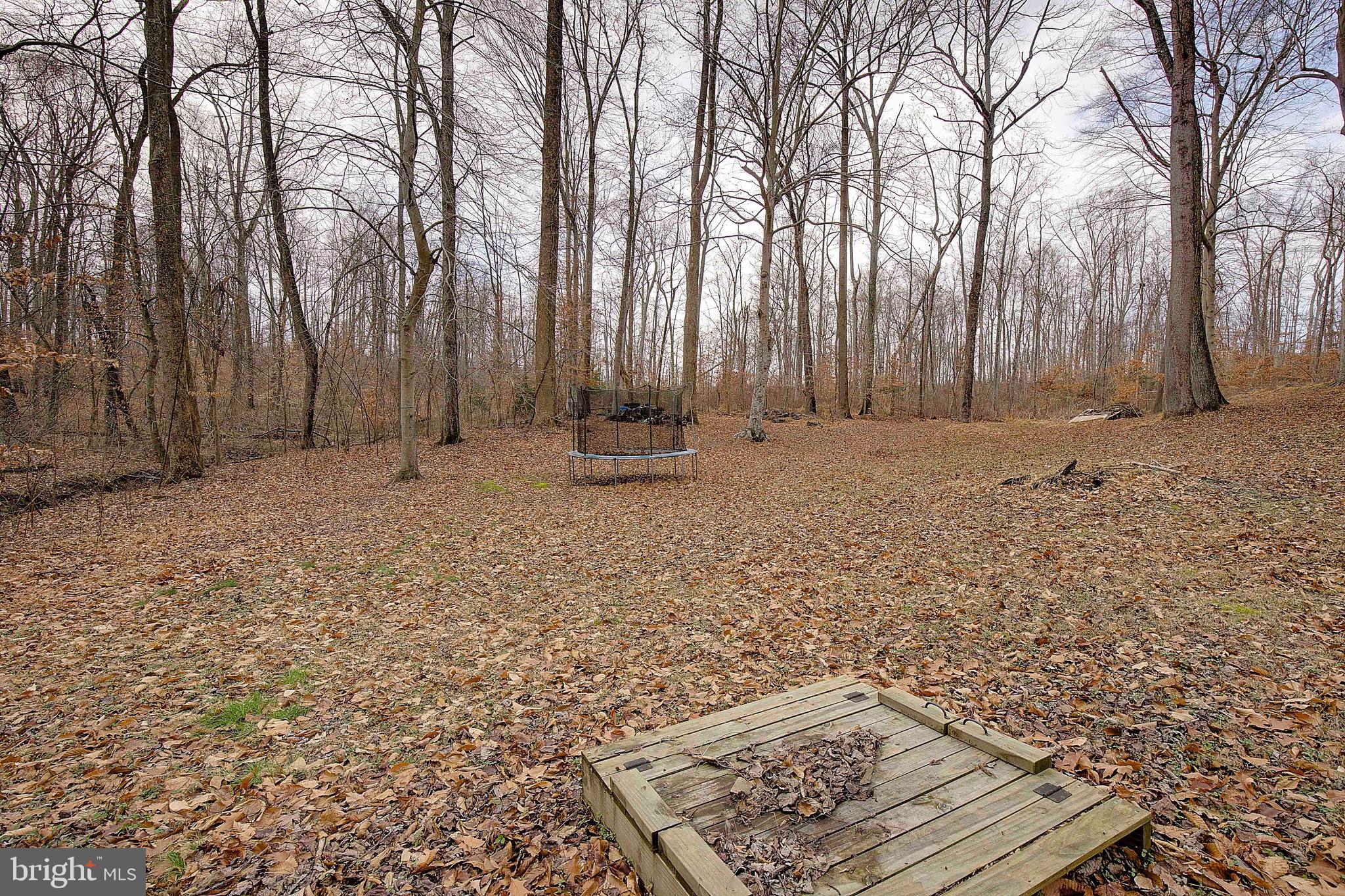 DUNKIRK WOODS - Residential