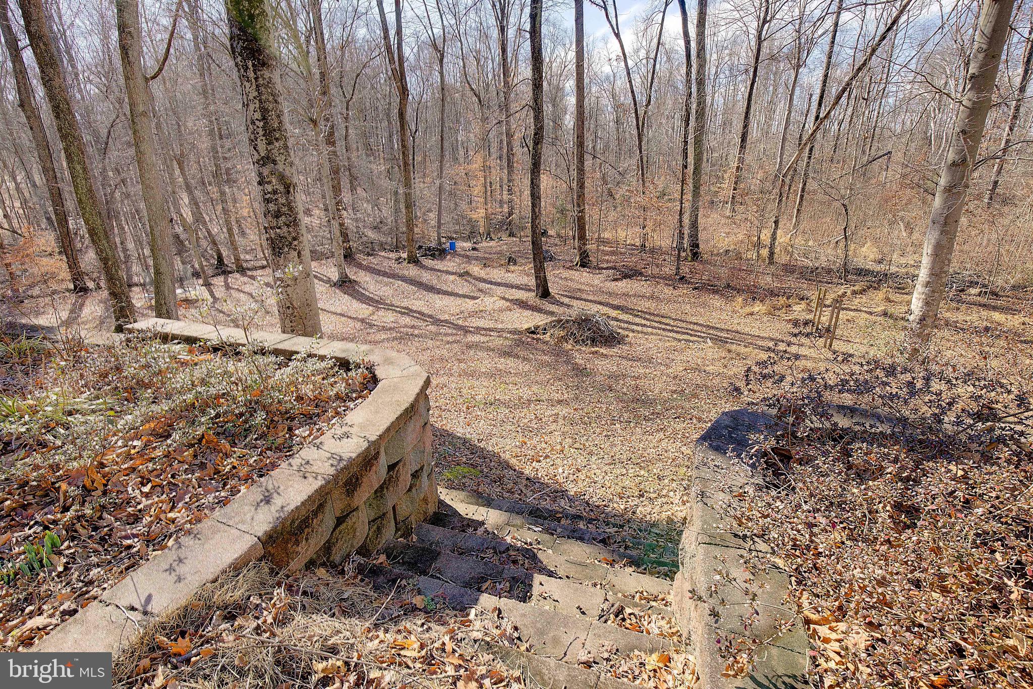 DUNKIRK WOODS - Residential