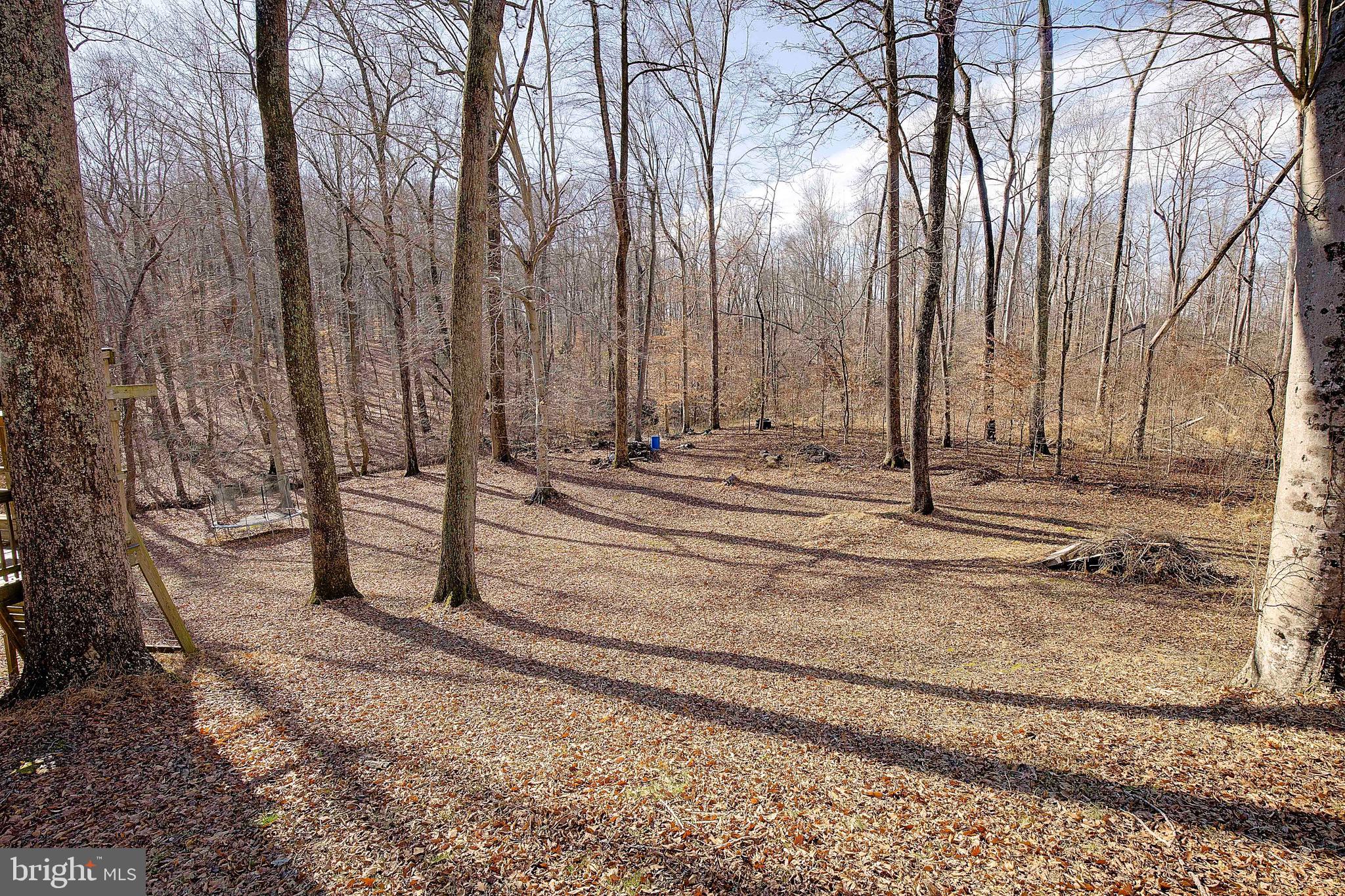 DUNKIRK WOODS - Residential