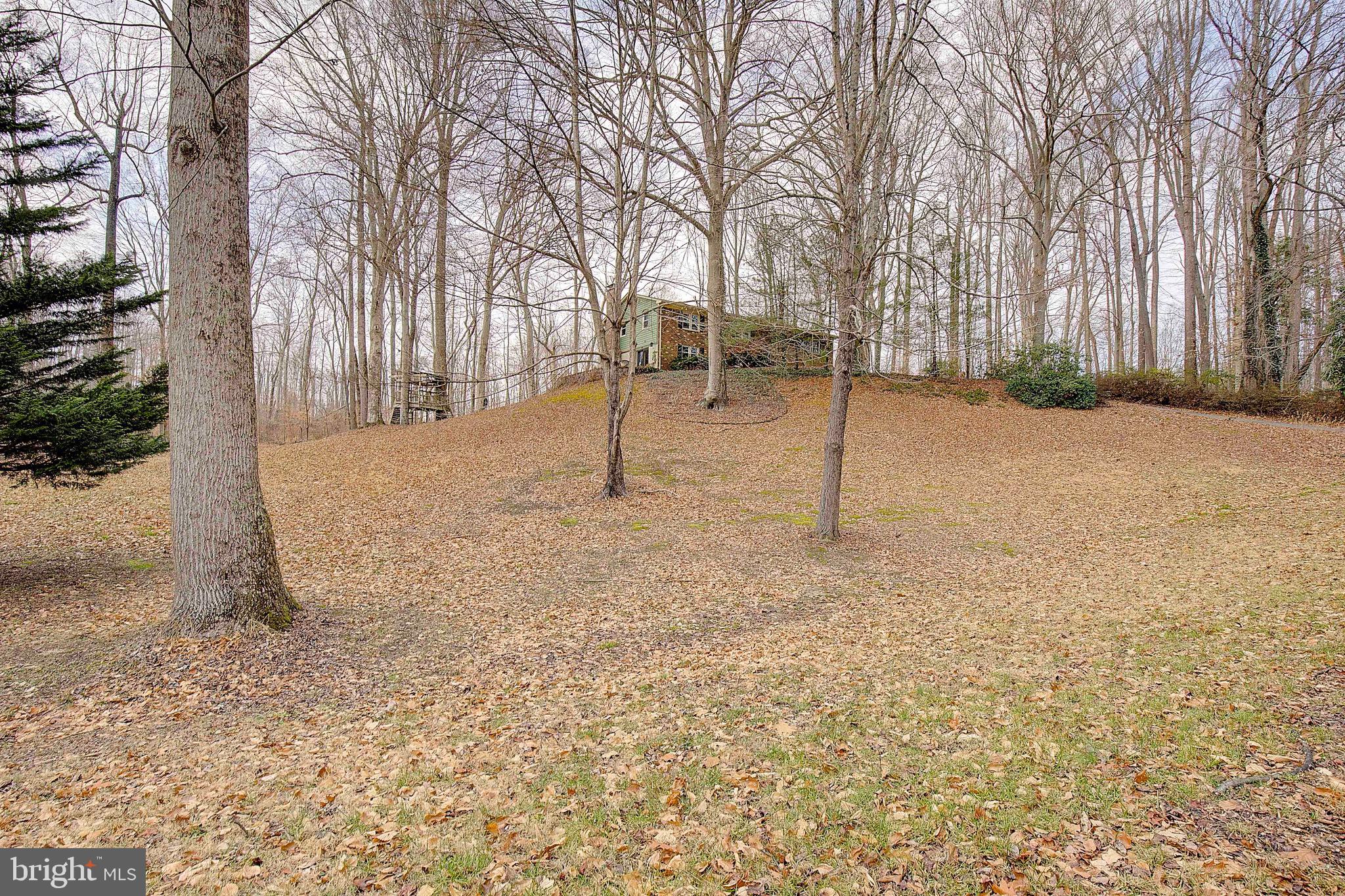 DUNKIRK WOODS - Residential