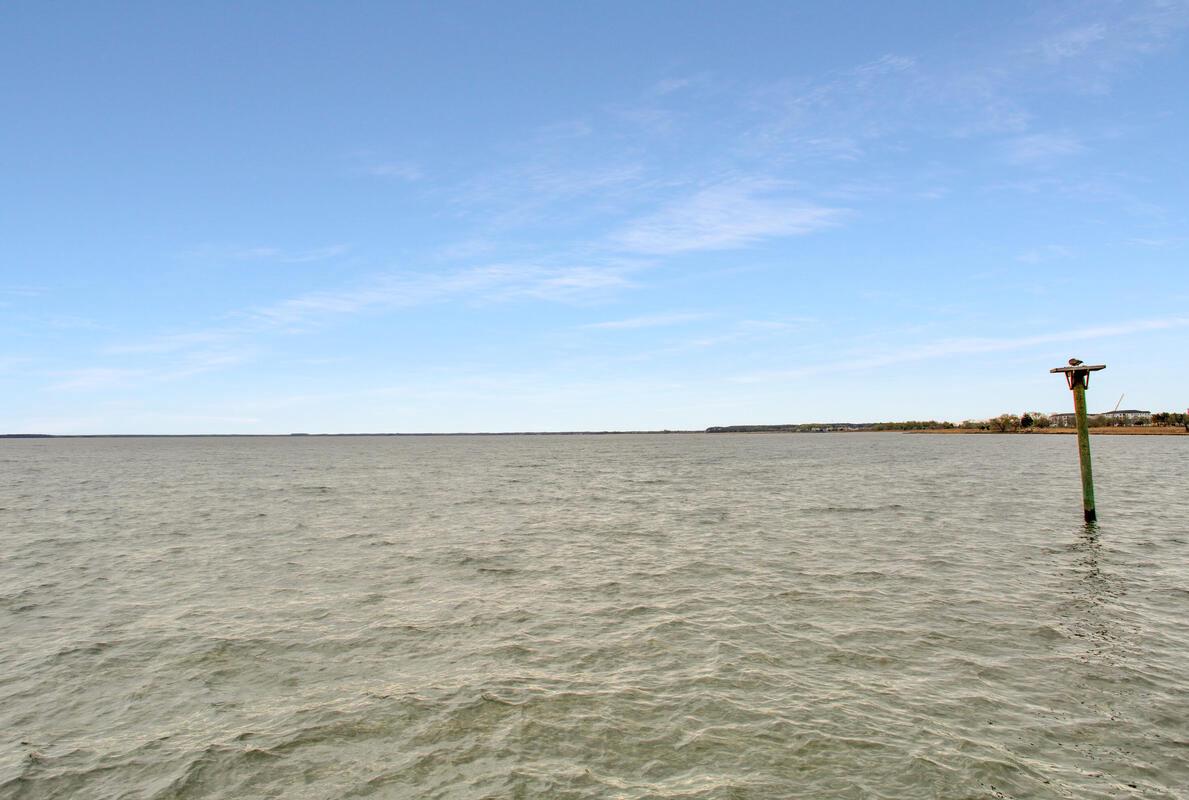 FOUR SEASONS AT KENT ISLAND - Residential