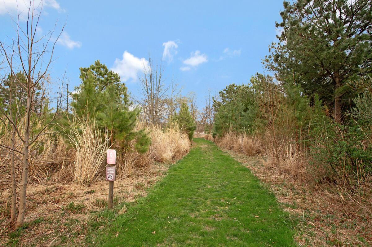 FOUR SEASONS AT KENT ISLAND - Residential