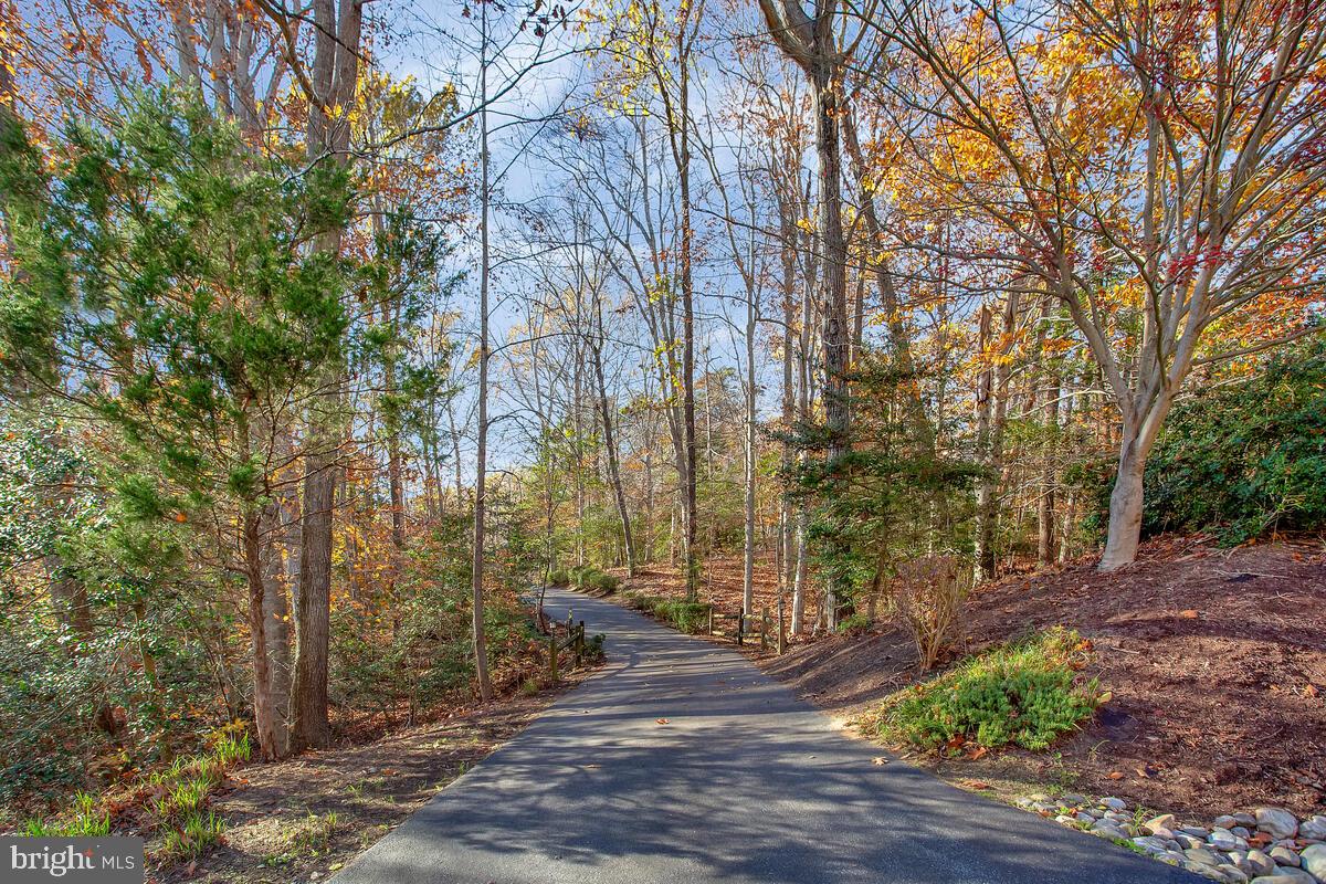 3055 BLACKBERRY LANE