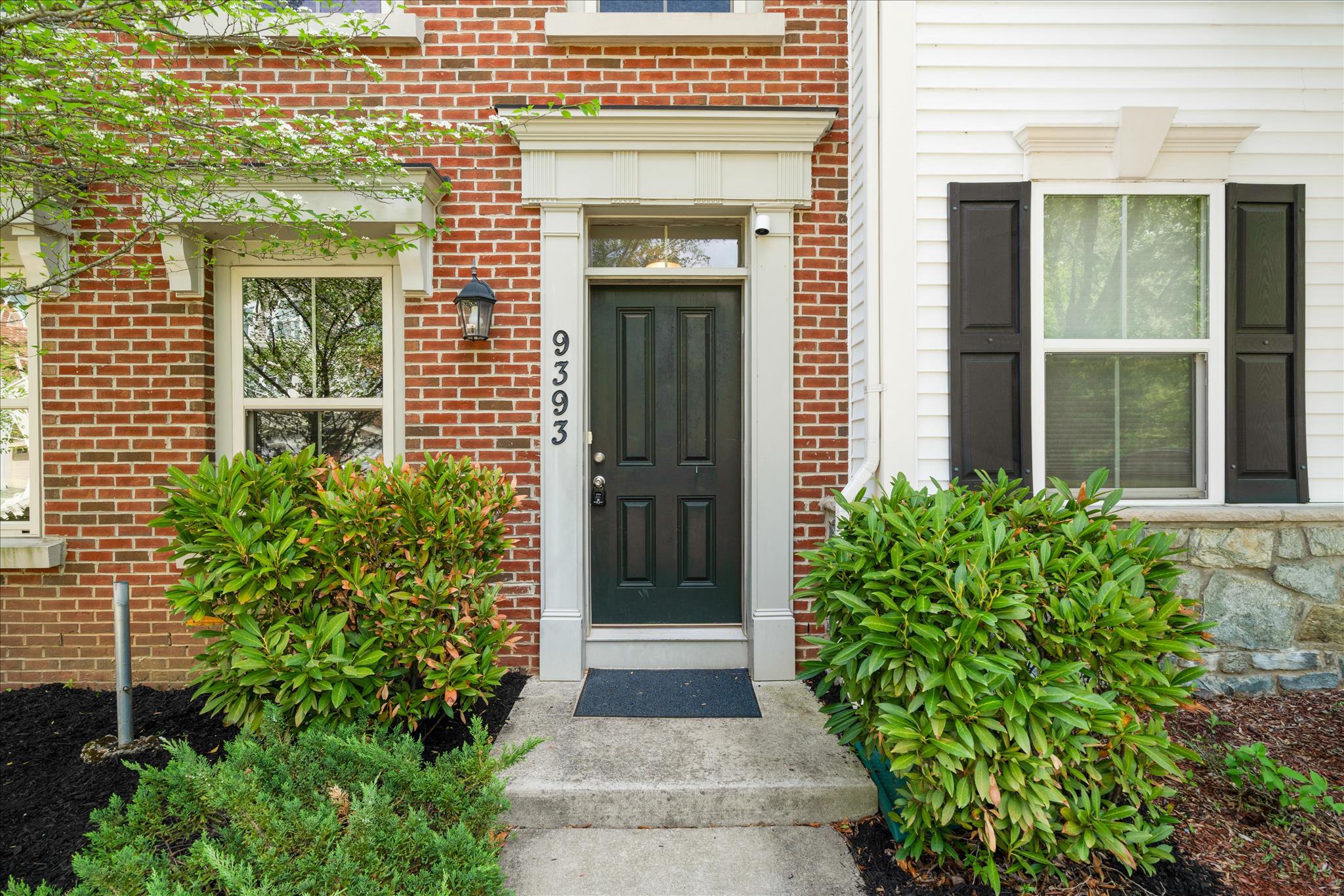 9393 ROCK RIPPLE LANE