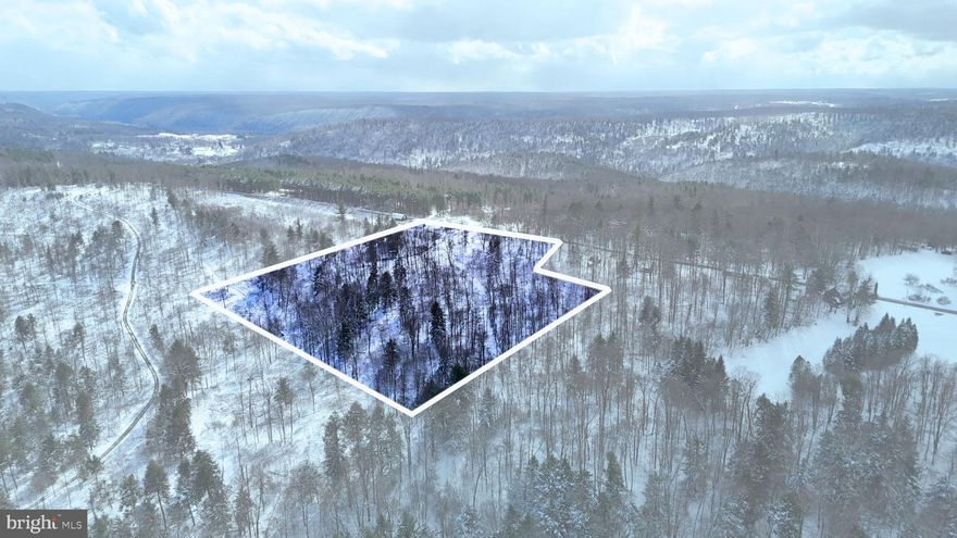 Beautiful 7 +/- acre wooded lot near Tidioute offers a private retreat for hunting or recreation, or get your plans together for a new home. The tract is all wooded and features a good mix of hardwoods mixed with pine and evergreens.  Great hunting property with quality habitat to support deer, turkey, bear, and lots of small game. While walking the property, you will find a gentle slope from the road as it drops into the stream bottom on the private piece of property it backs to that is over 500 acres. The surrounding area is made up of big woods, with plenty of State Game lands within minutes, and thousands of acres ready to explore. With great road frontage, the propety offers an opportunity to build a home or hunting cabin. Don't miss out on the chance to set up a great basecamp minutes away from thousands of acres of public land. The opportunities on this property far exceed the small size, this one sure has the potential to offer BIG results. The oil, gas, and minerals rights do convey with the property. Reach out to the listing agent to schedule your very own private tour today!