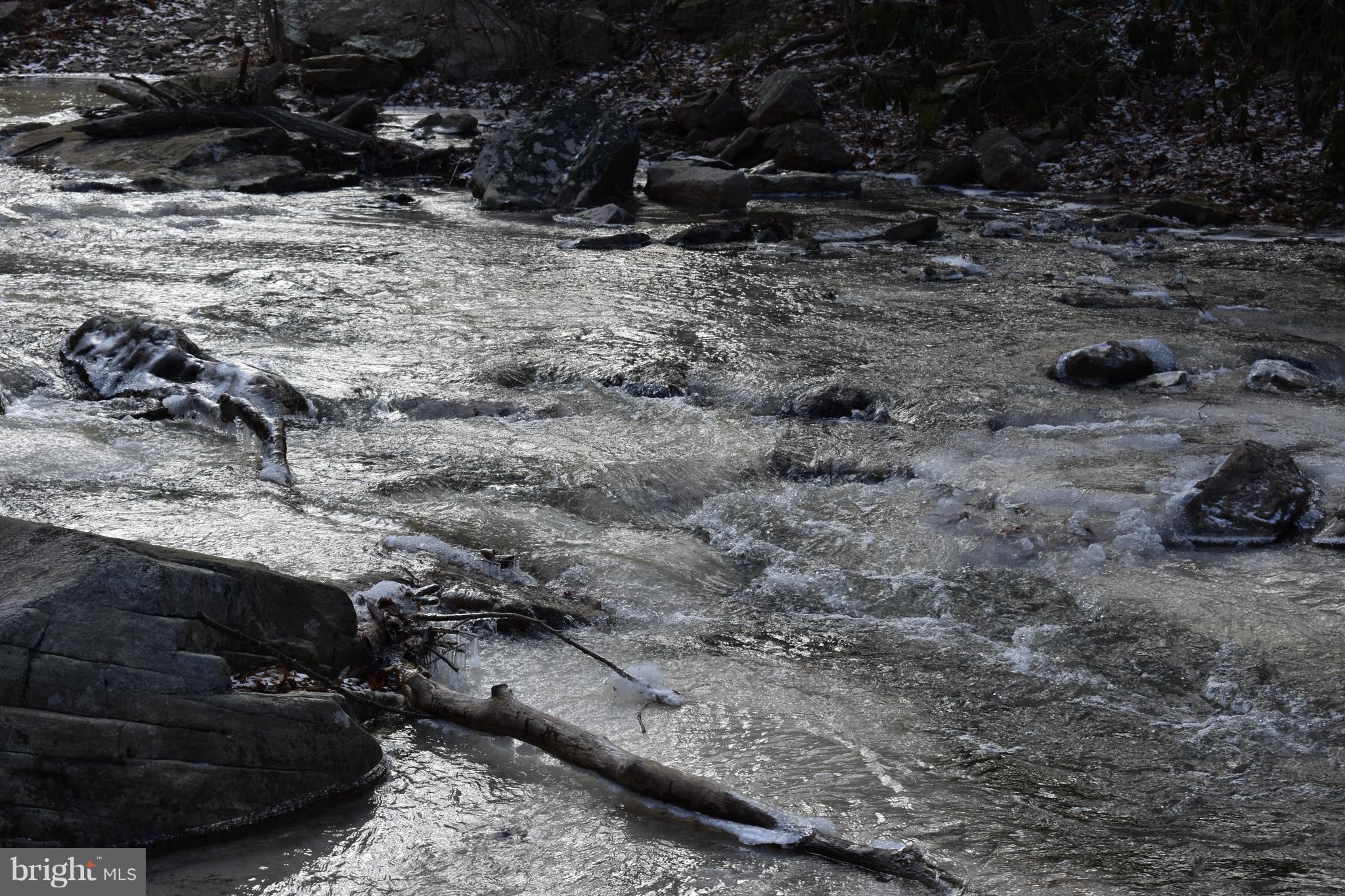 SPRUCE PINE HOLLOW - Land