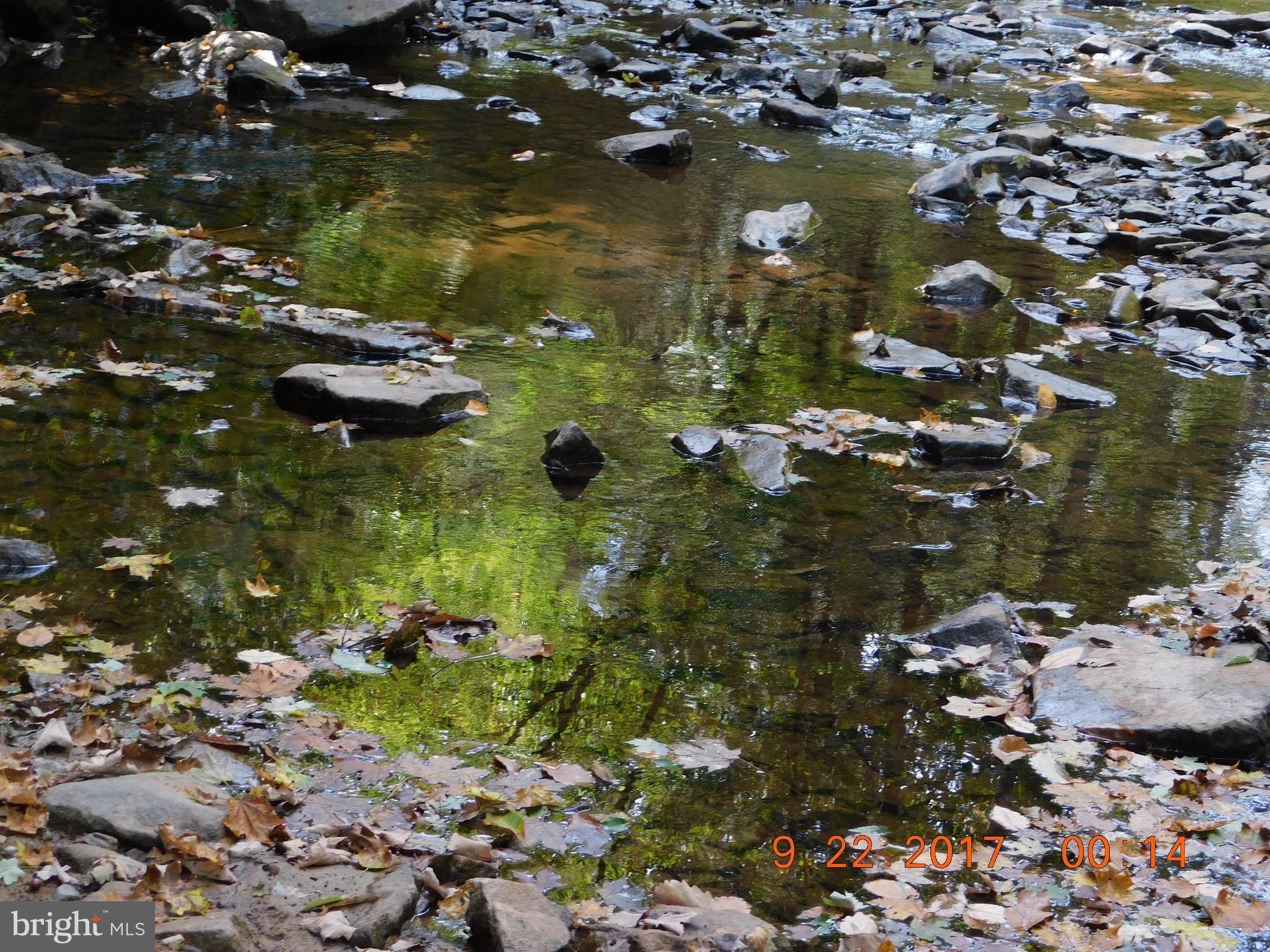 SPRUCE PINE HOLLOW - Land