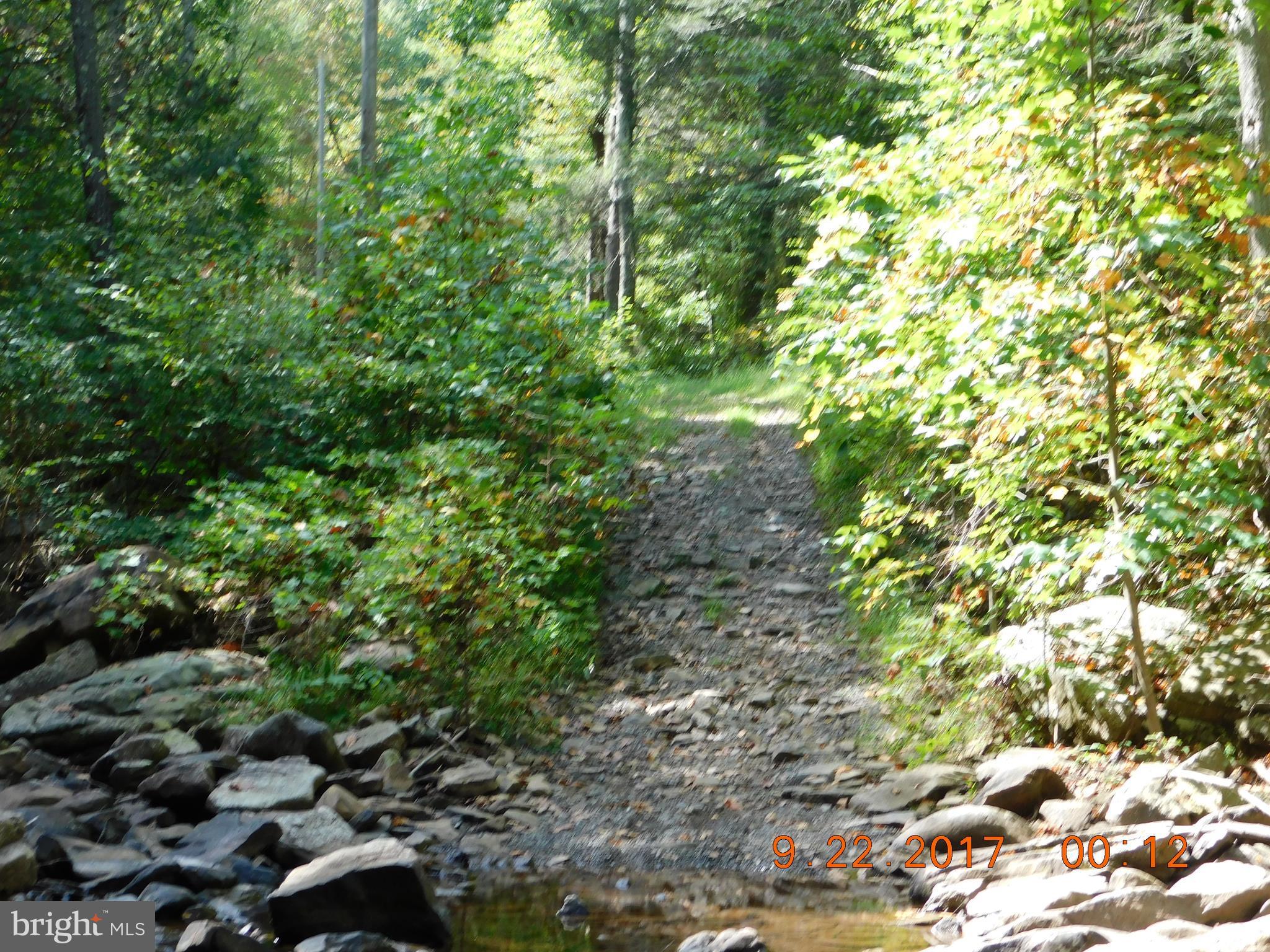 SPRUCE PINE HOLLOW - Land