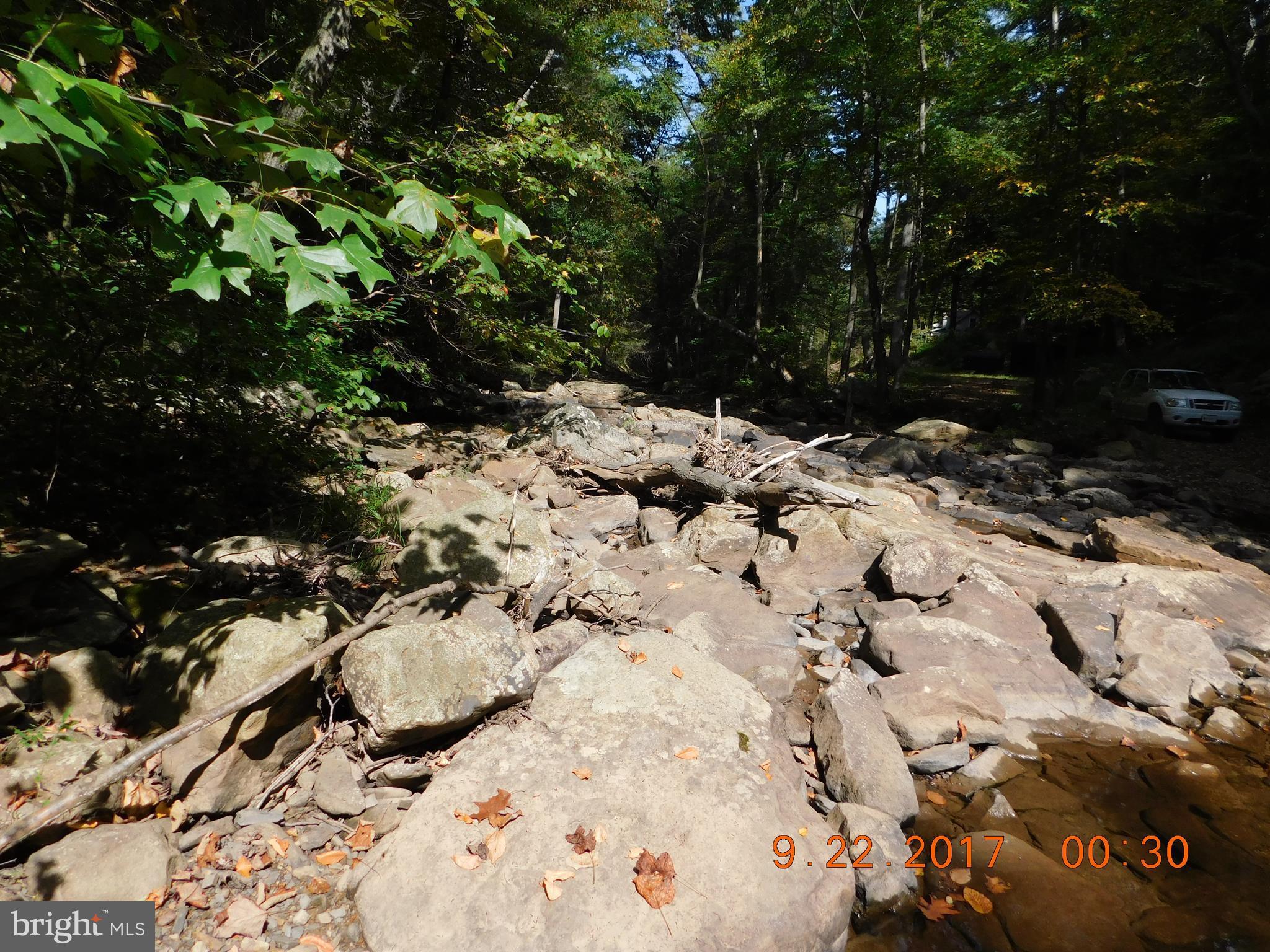 SPRUCE PINE HOLLOW - Land