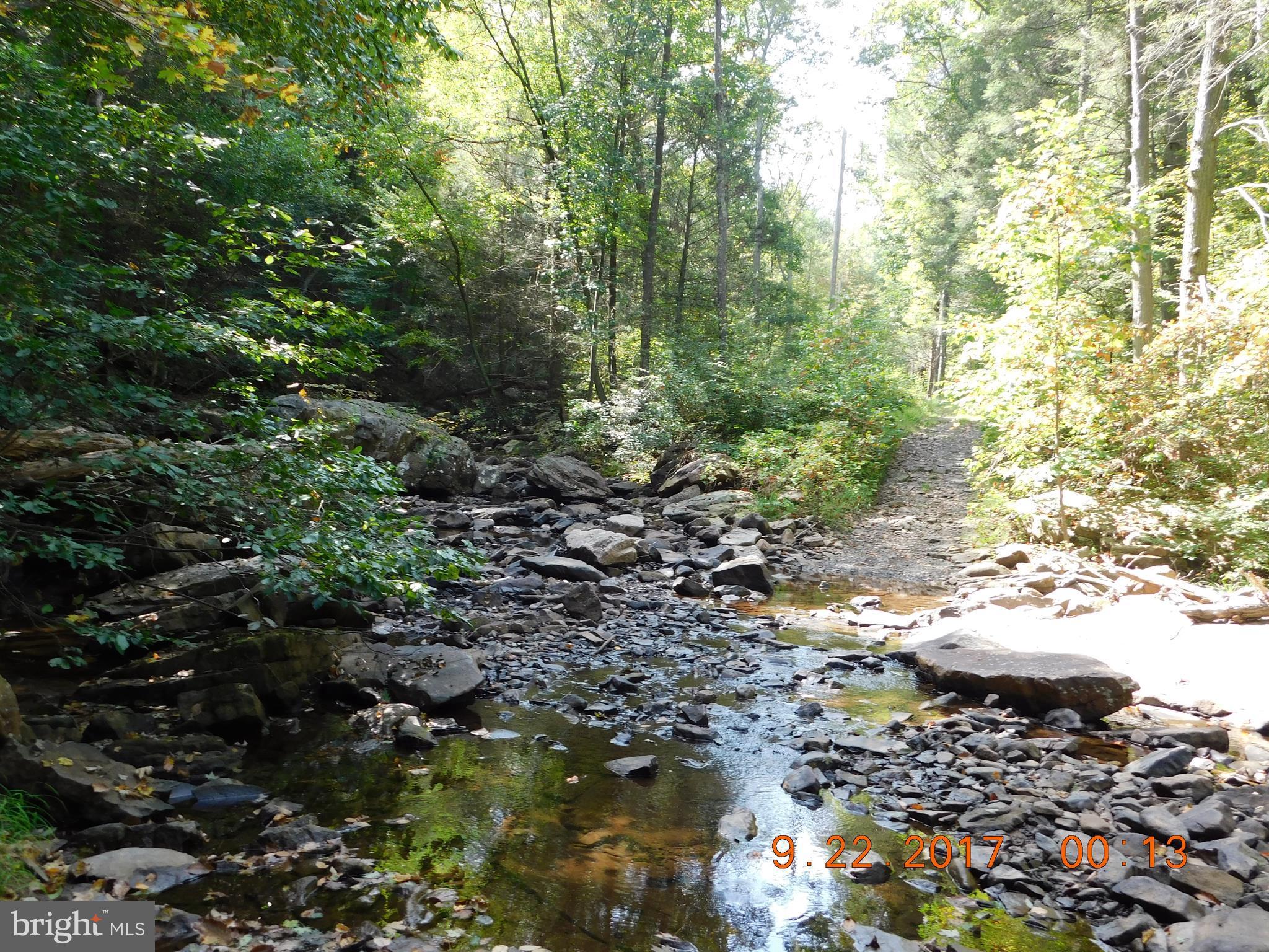 SPRUCE PINE HOLLOW - Land