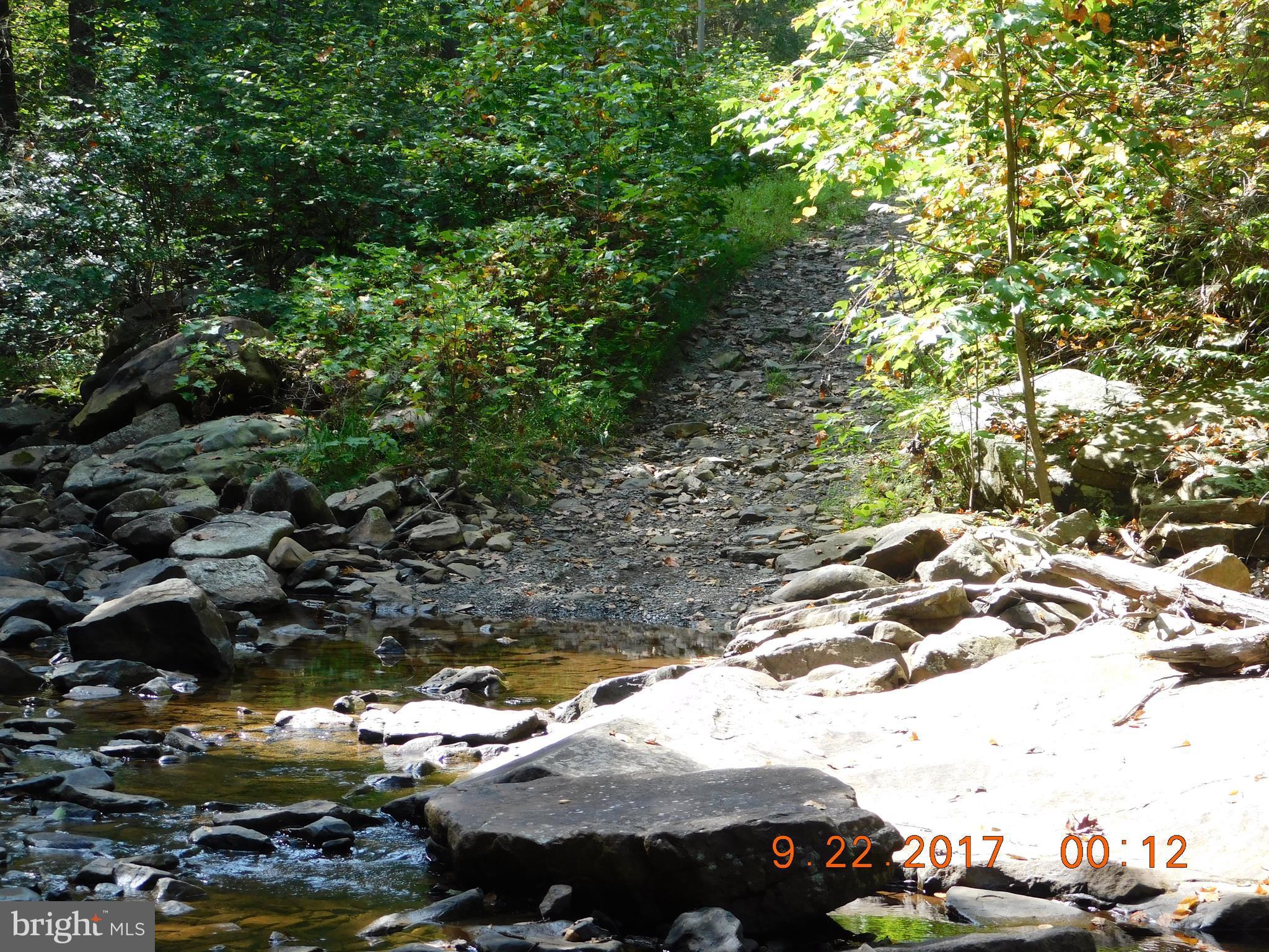 SPRUCE PINE HOLLOW - Land