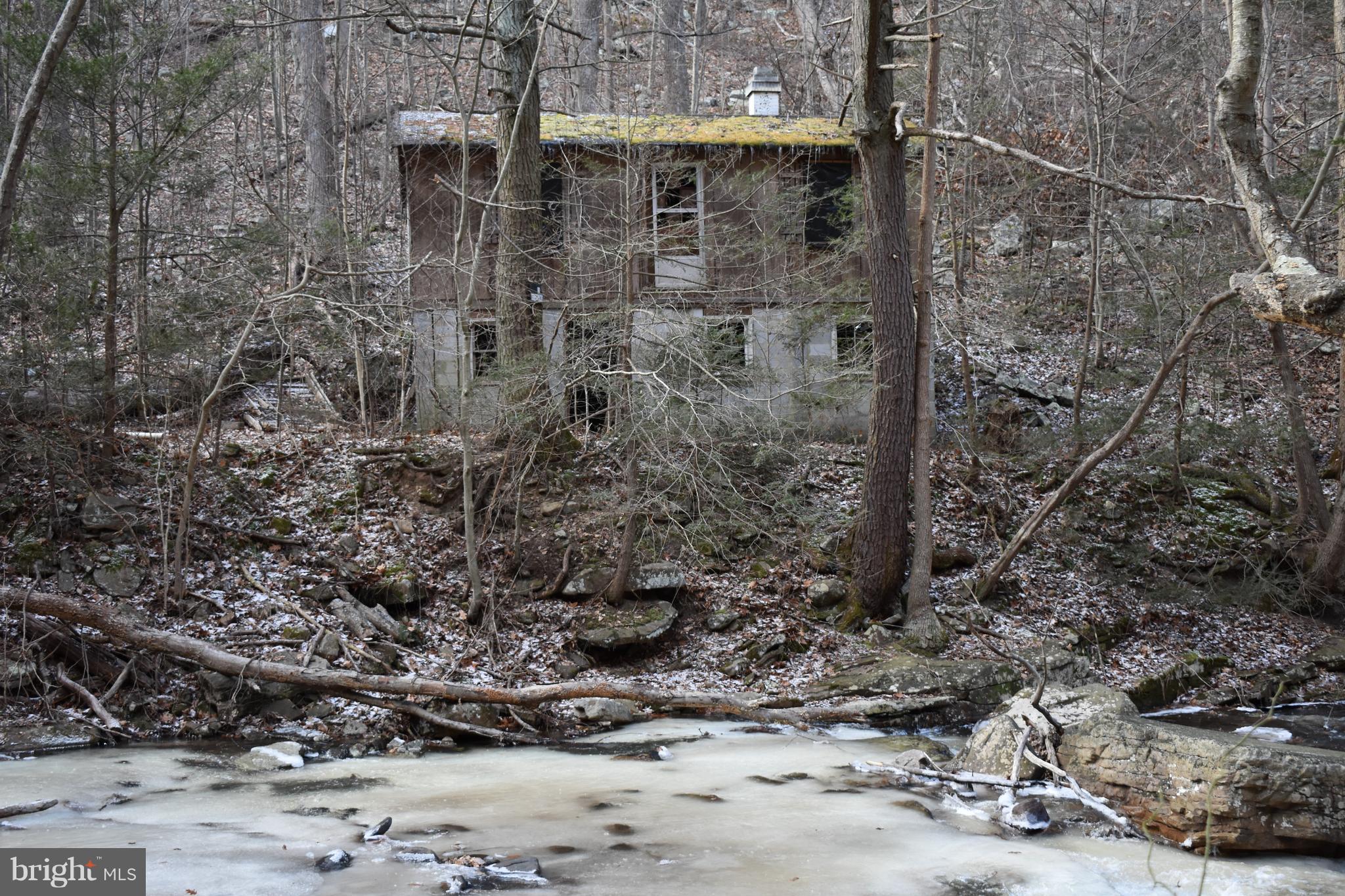 SPRUCE PINE HOLLOW - Land