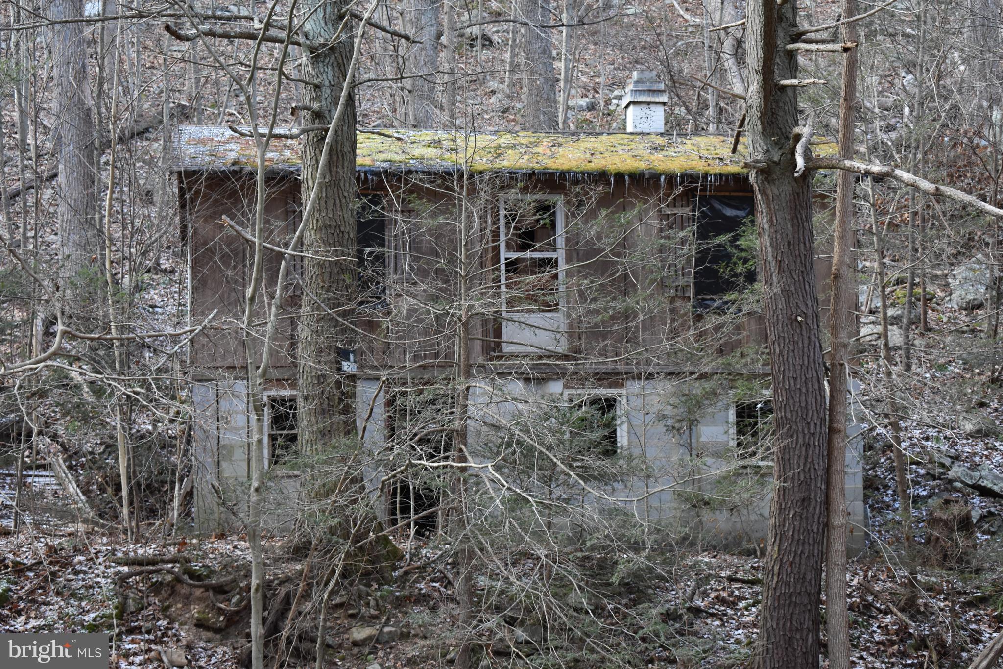 SPRUCE PINE HOLLOW - Land