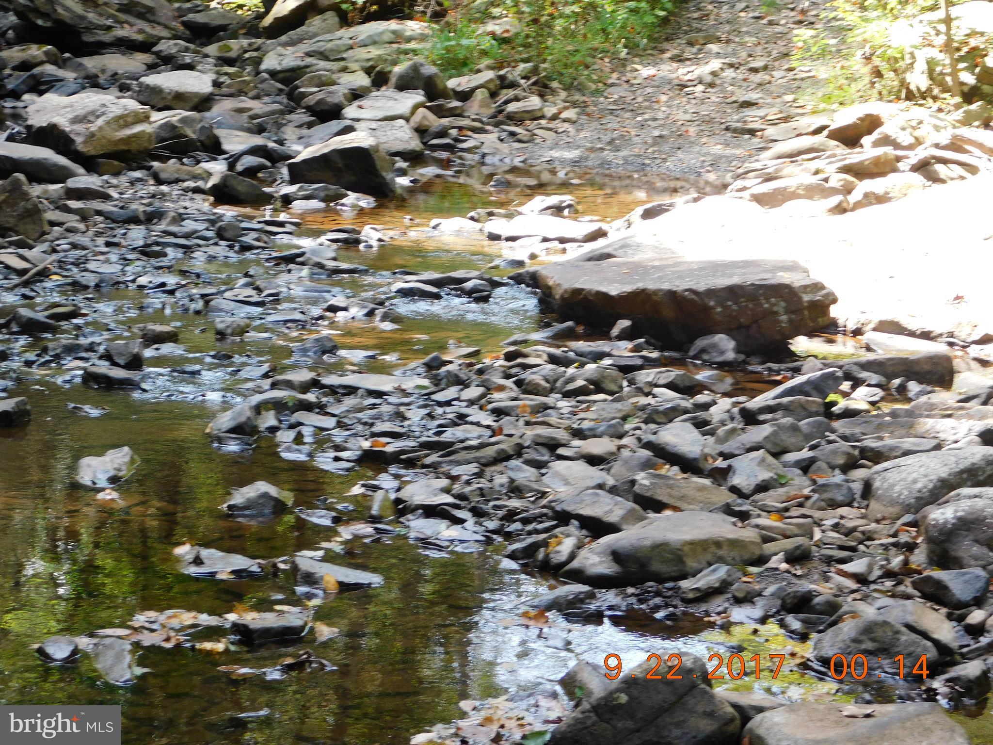 SPRUCE PINE HOLLOW - Land