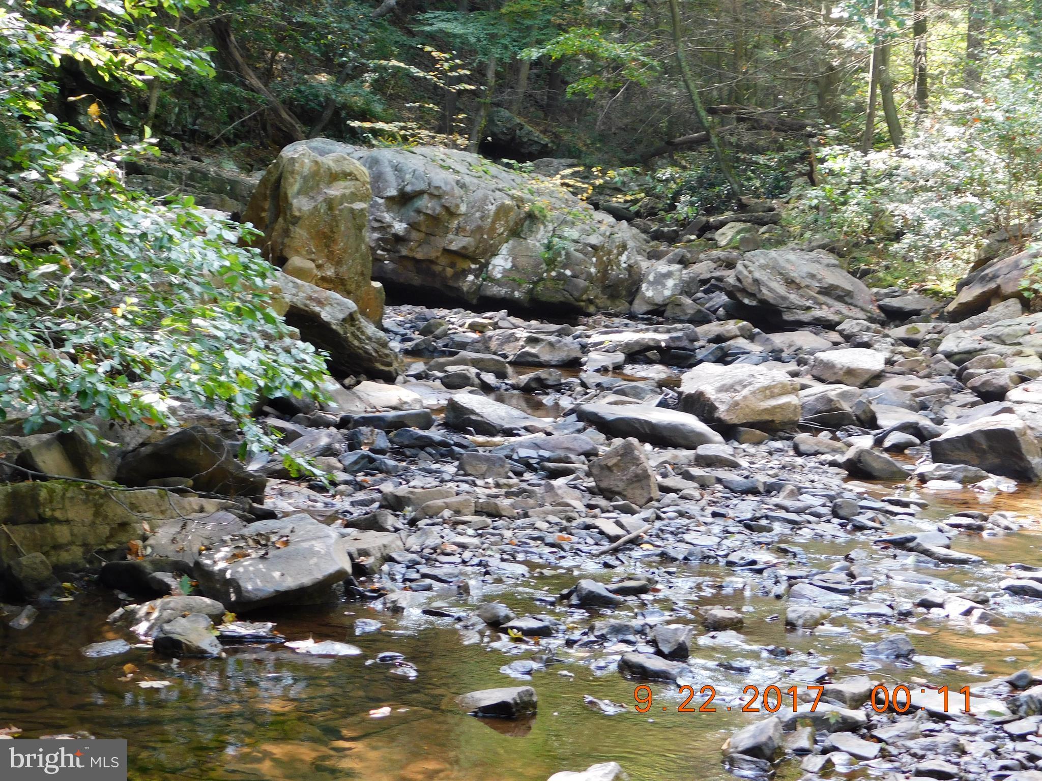 SPRUCE PINE HOLLOW - Land