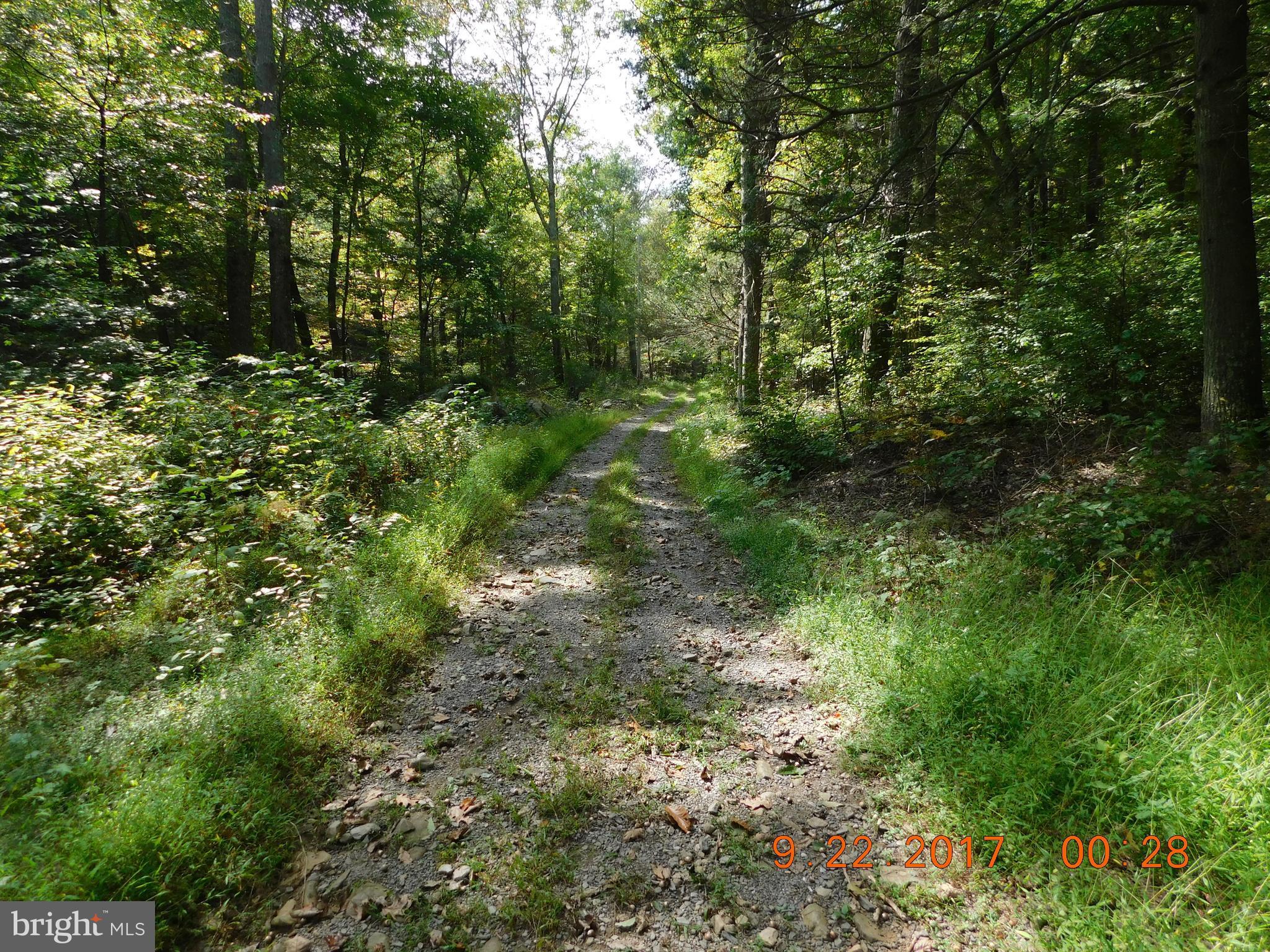 SPRUCE PINE HOLLOW - Land