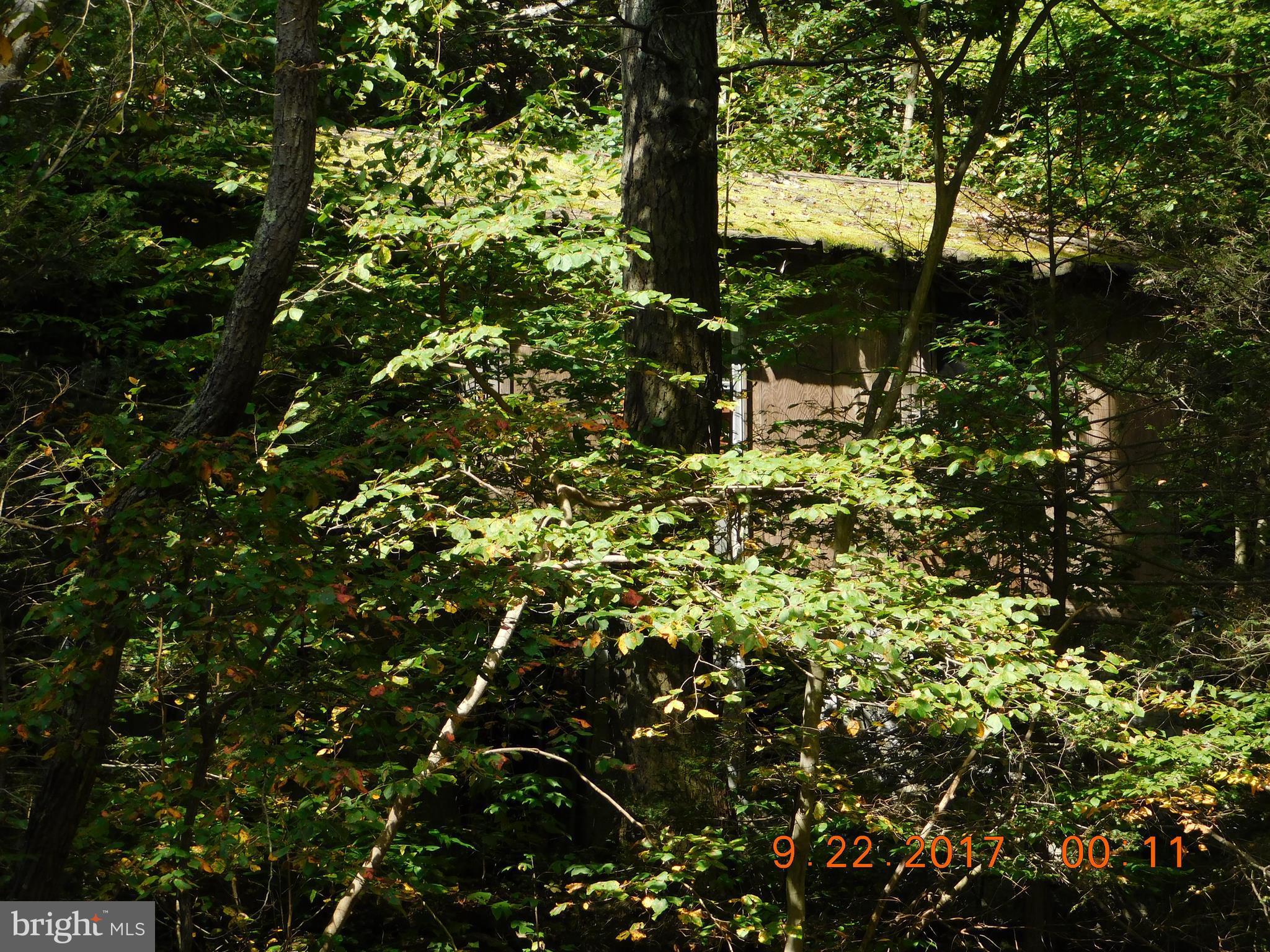 SPRUCE PINE HOLLOW - Land