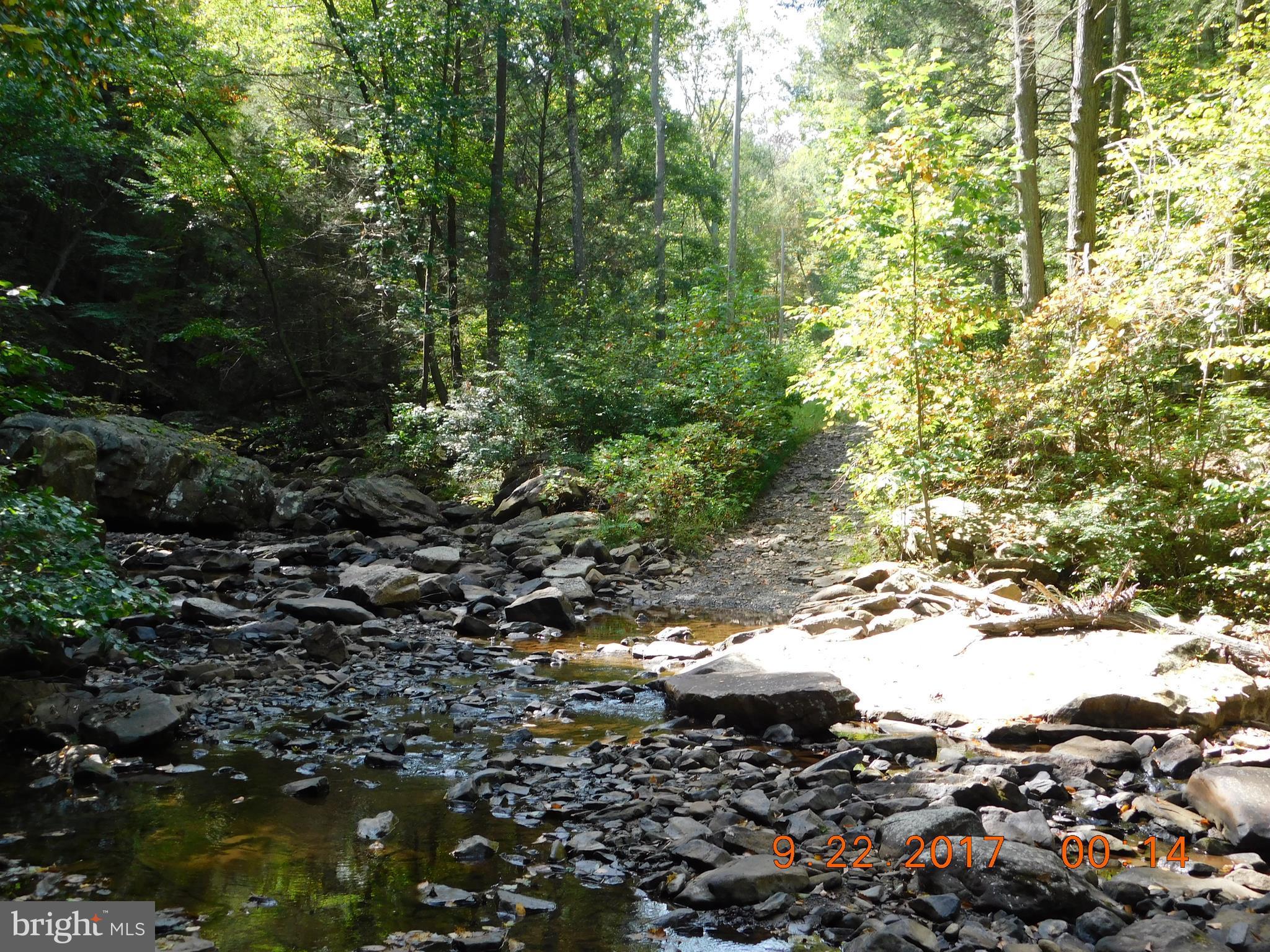 SPRUCE PINE HOLLOW - Land