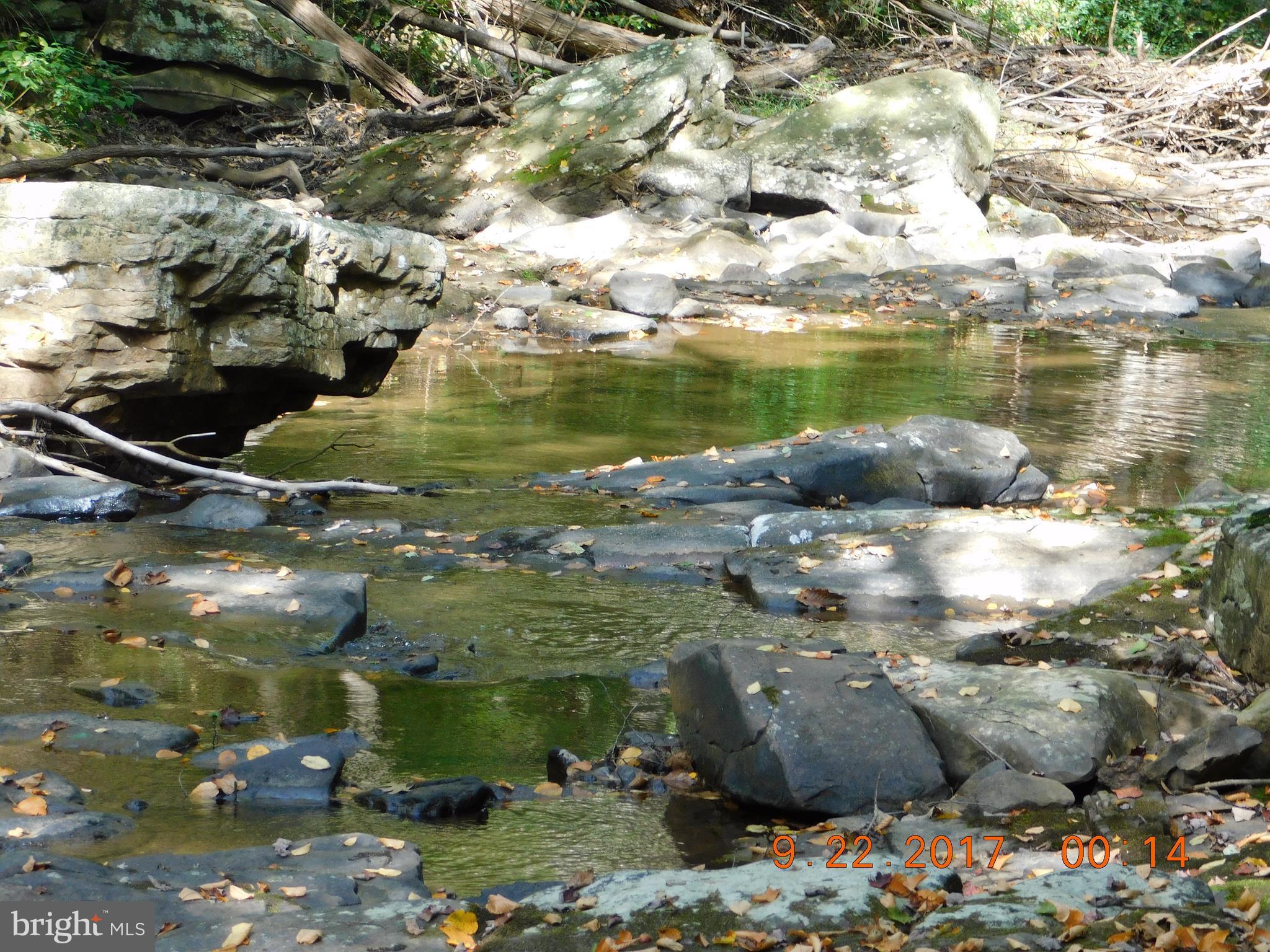 SPRUCE PINE HOLLOW - Land