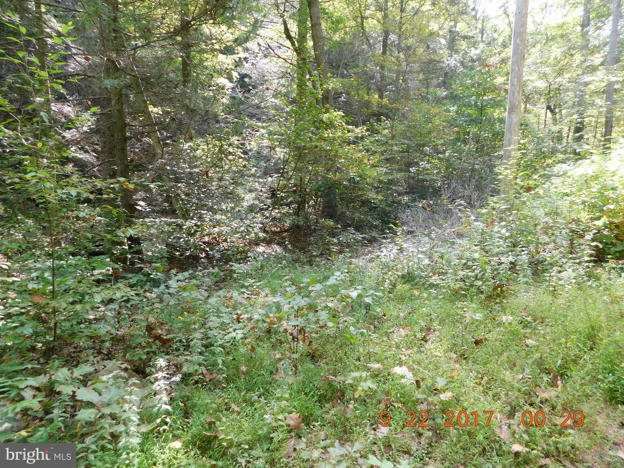 SPRUCE PINE HOLLOW - Land