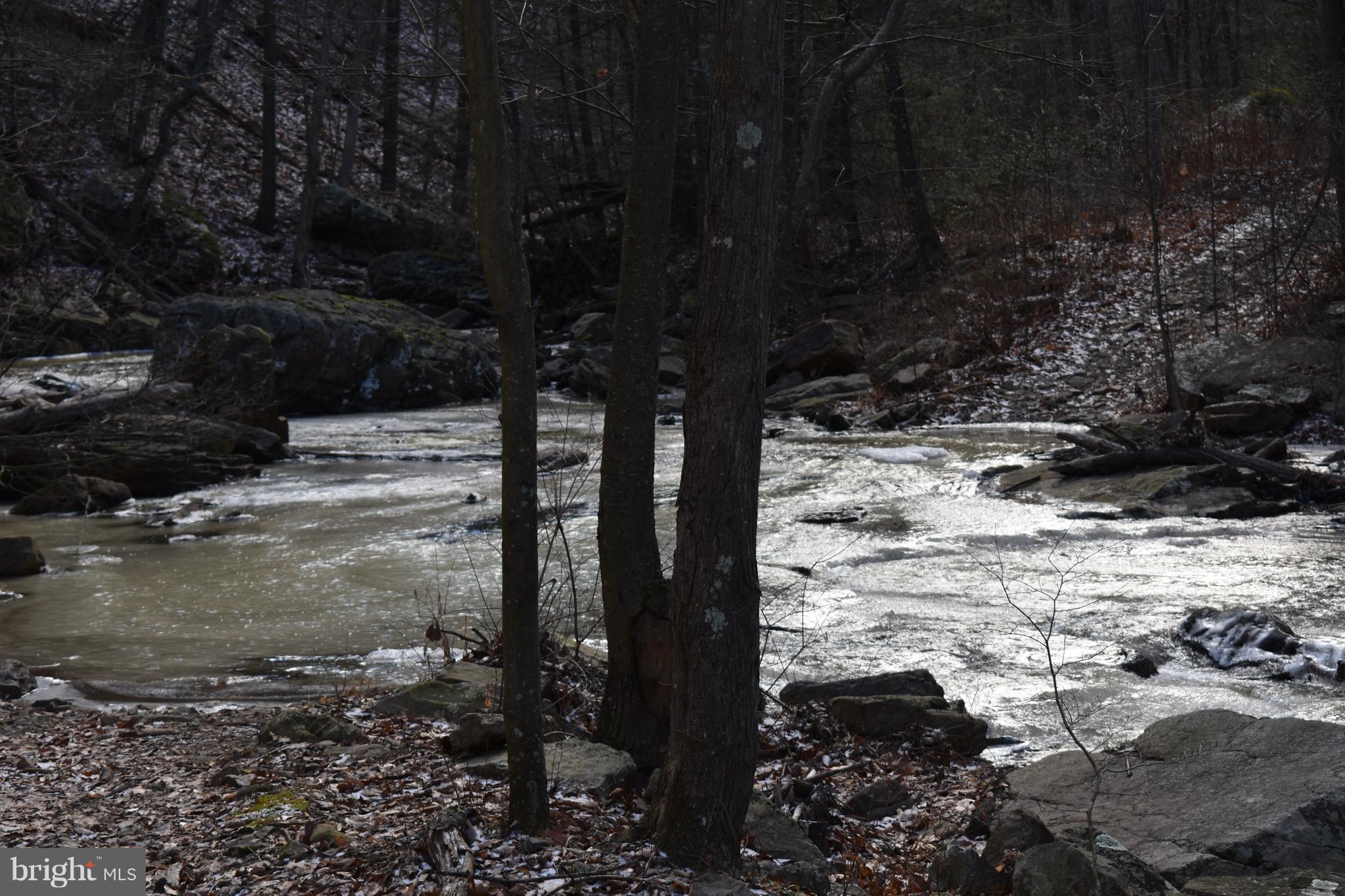 SPRUCE PINE HOLLOW - Land