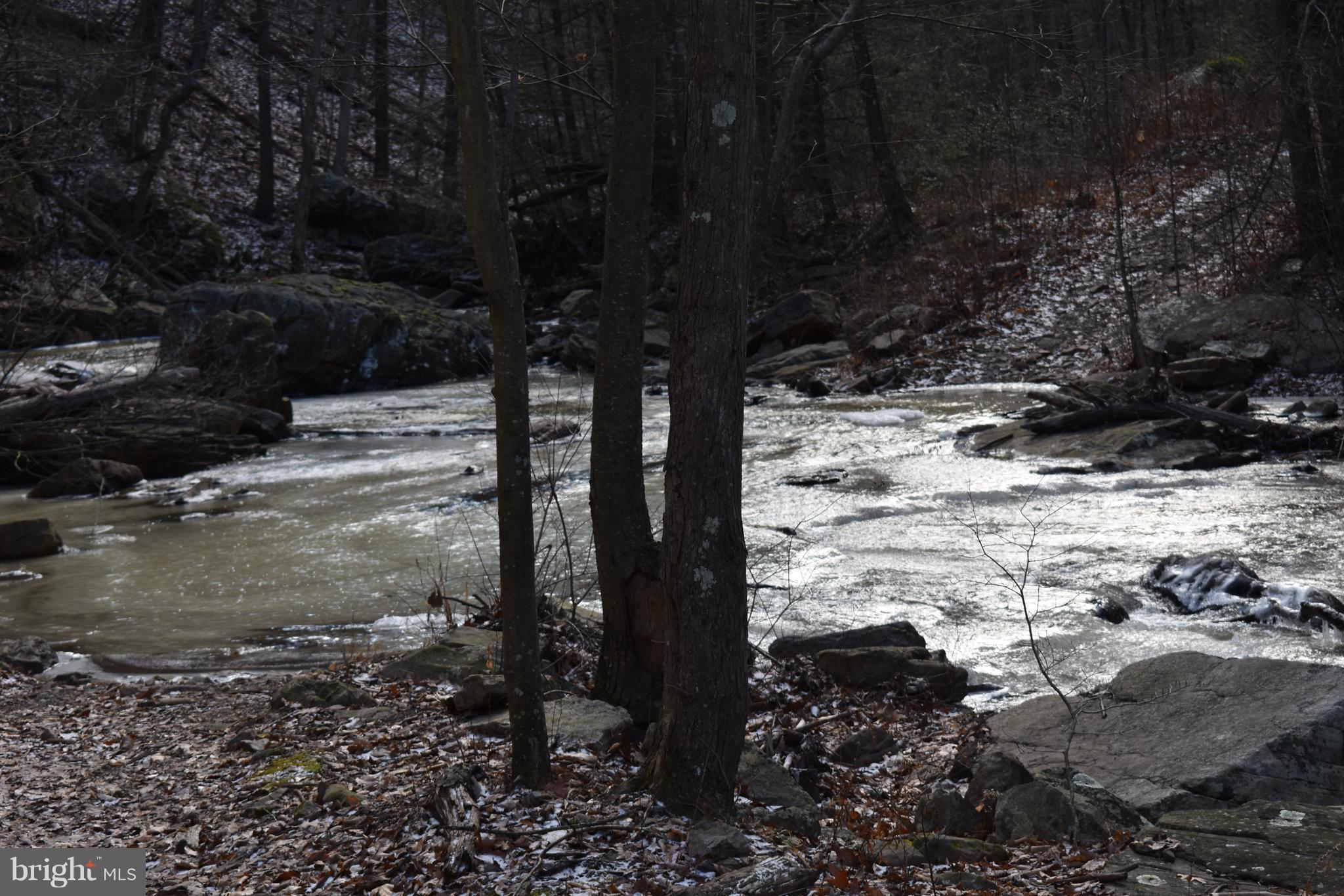 SPRUCE PINE HOLLOW - Land