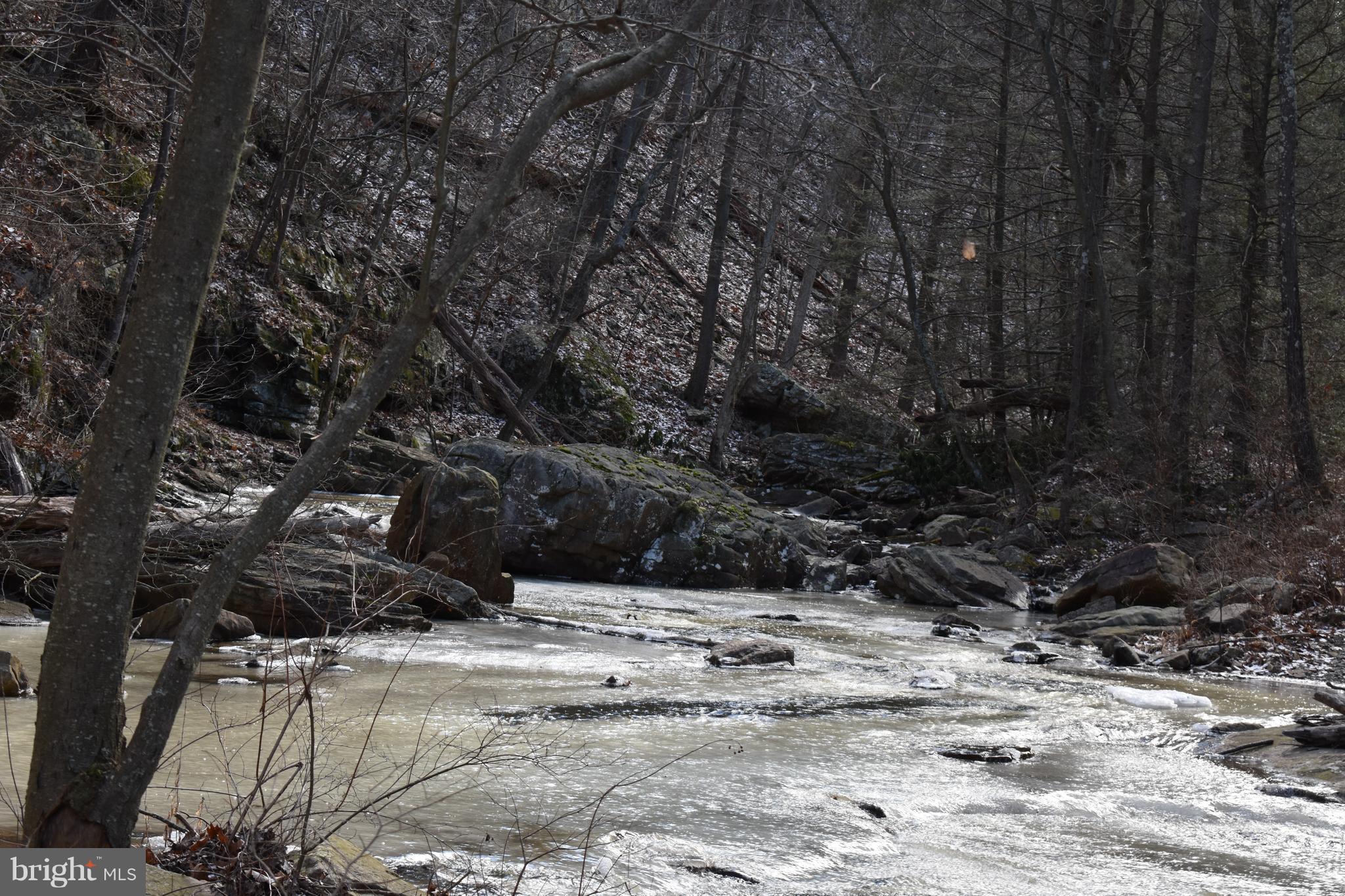 SPRUCE PINE HOLLOW - Land