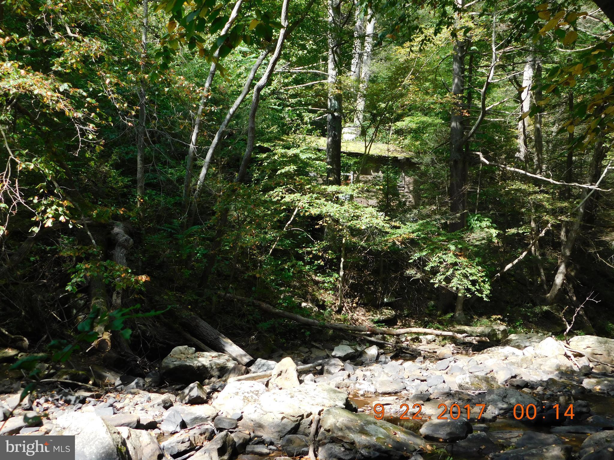 SPRUCE PINE HOLLOW - Land