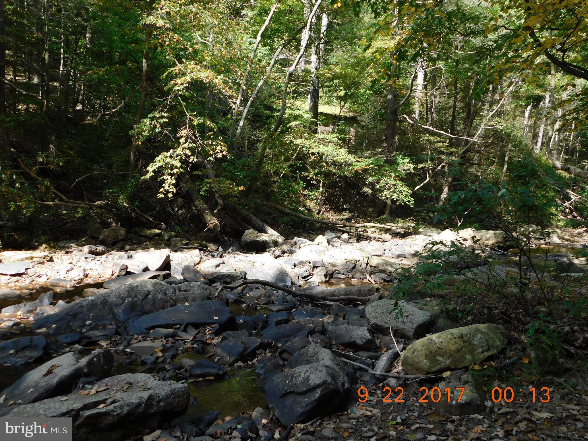 SPRUCE PINE HOLLOW - Land