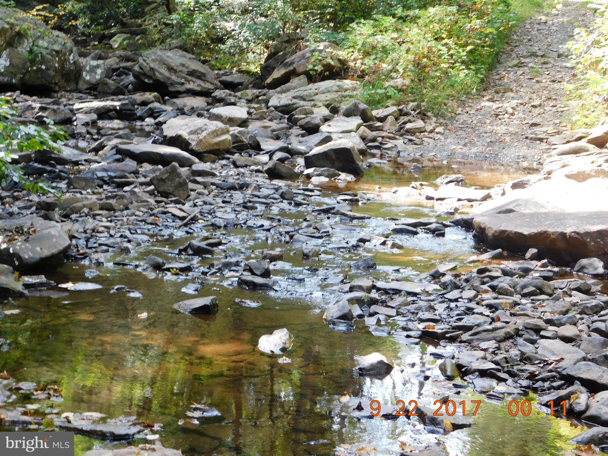 SPRUCE PINE HOLLOW - Land