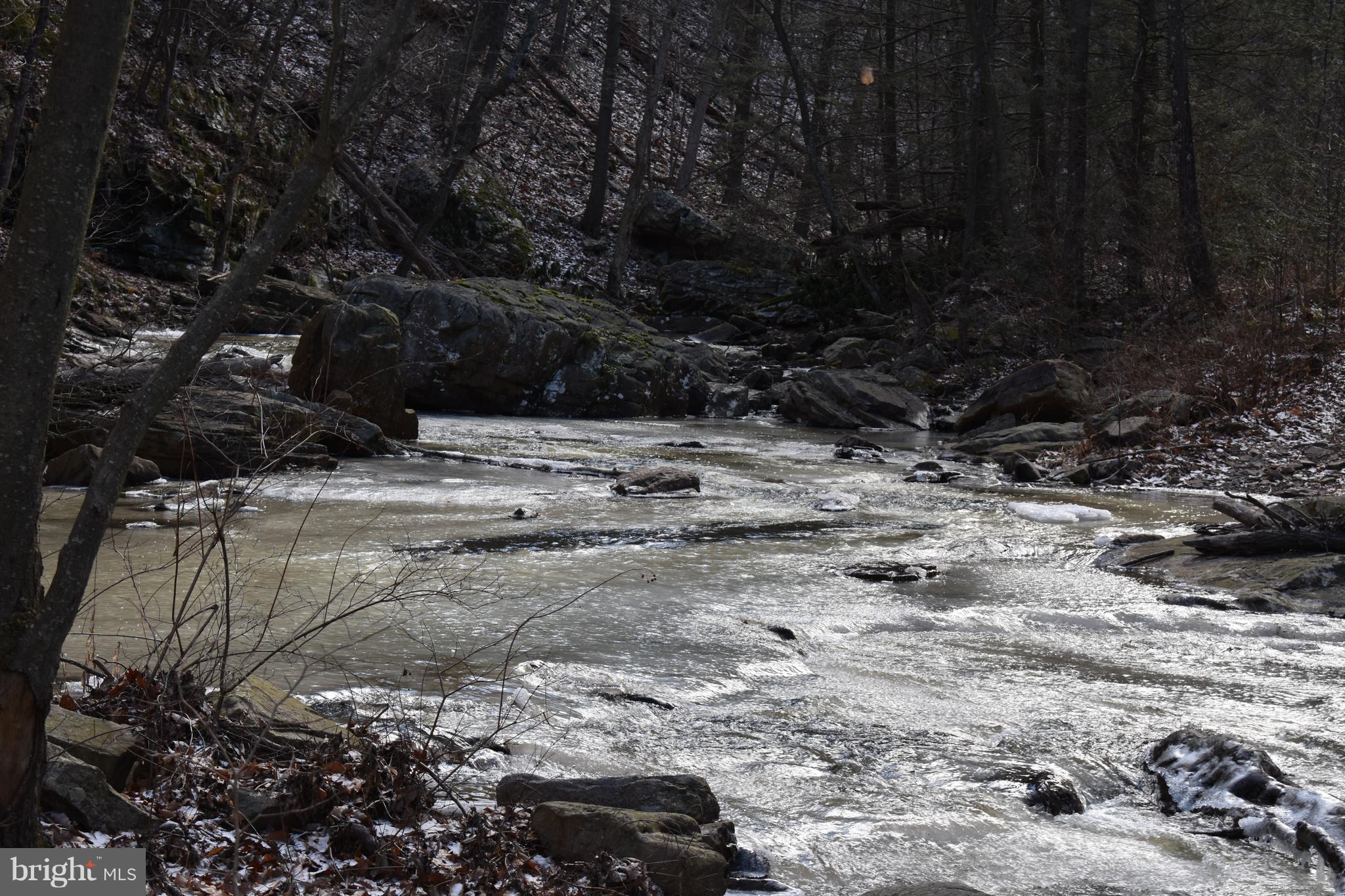 SPRUCE PINE HOLLOW - Land