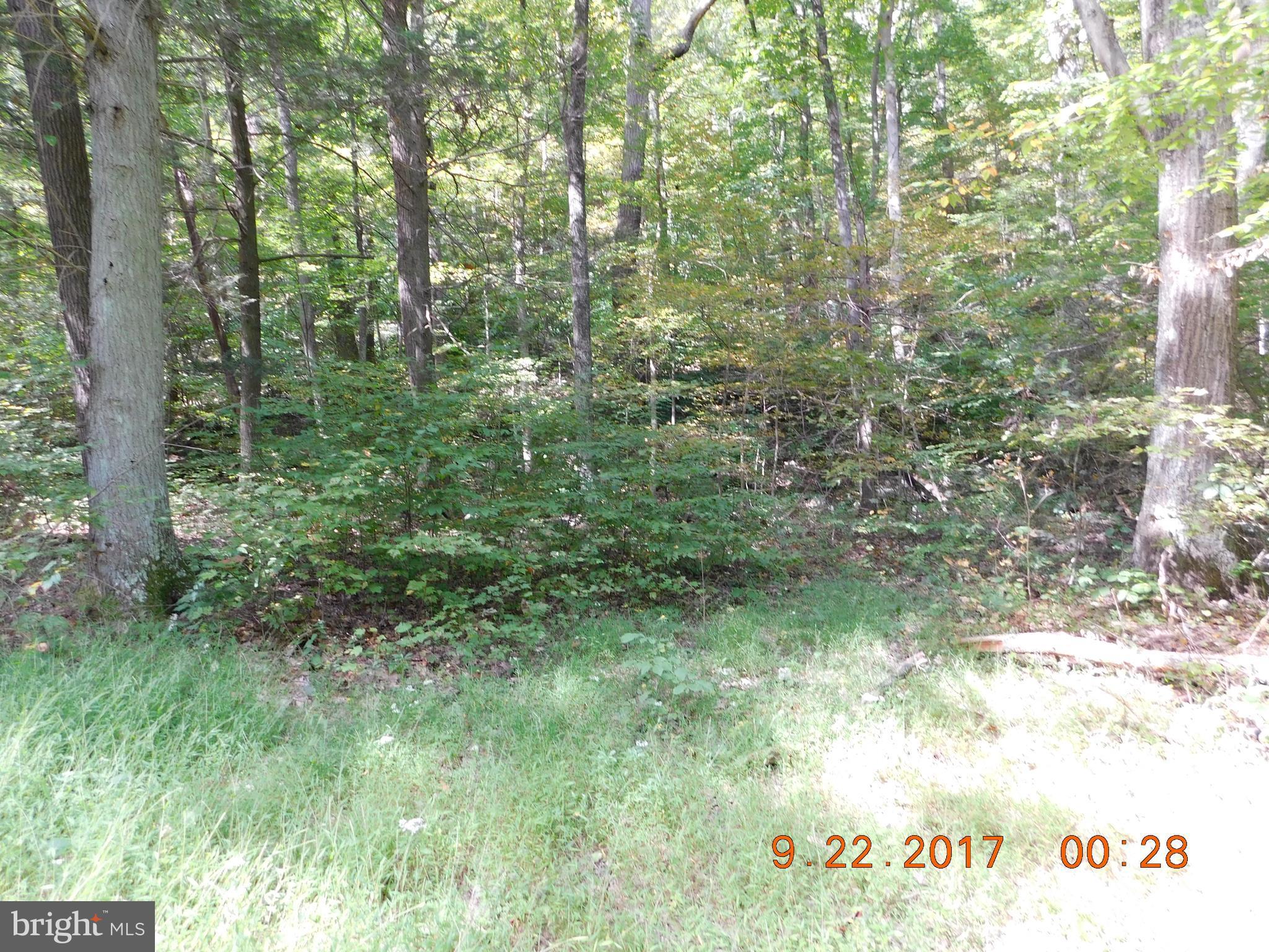 SPRUCE PINE HOLLOW - Land