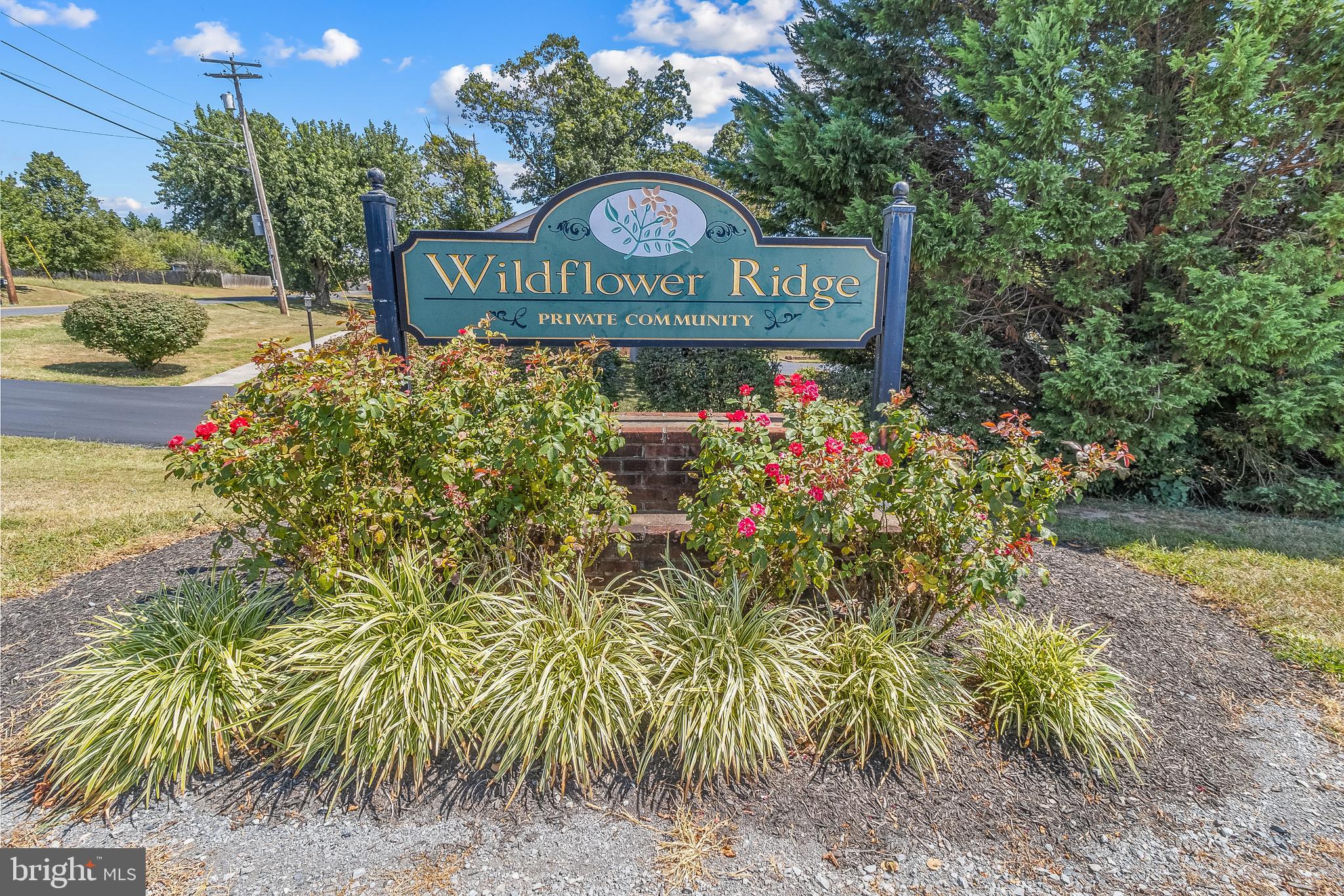 WILDFLOWER RIDGE - Residential