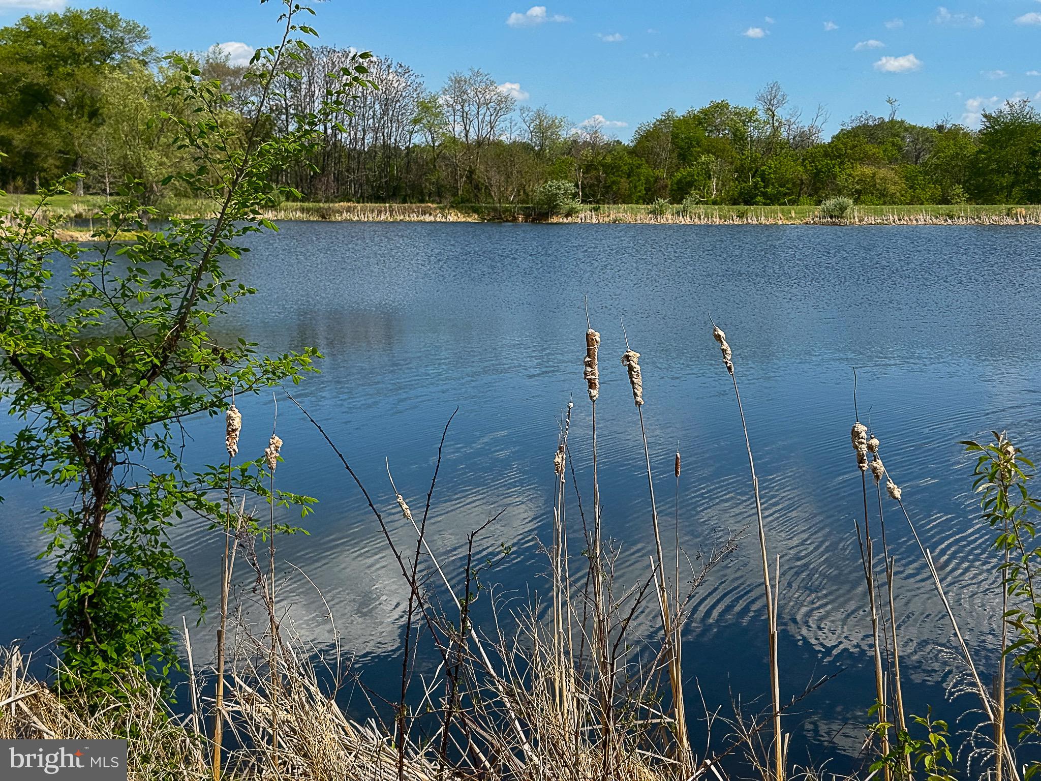 WATERFIELD HAMLET - Residential