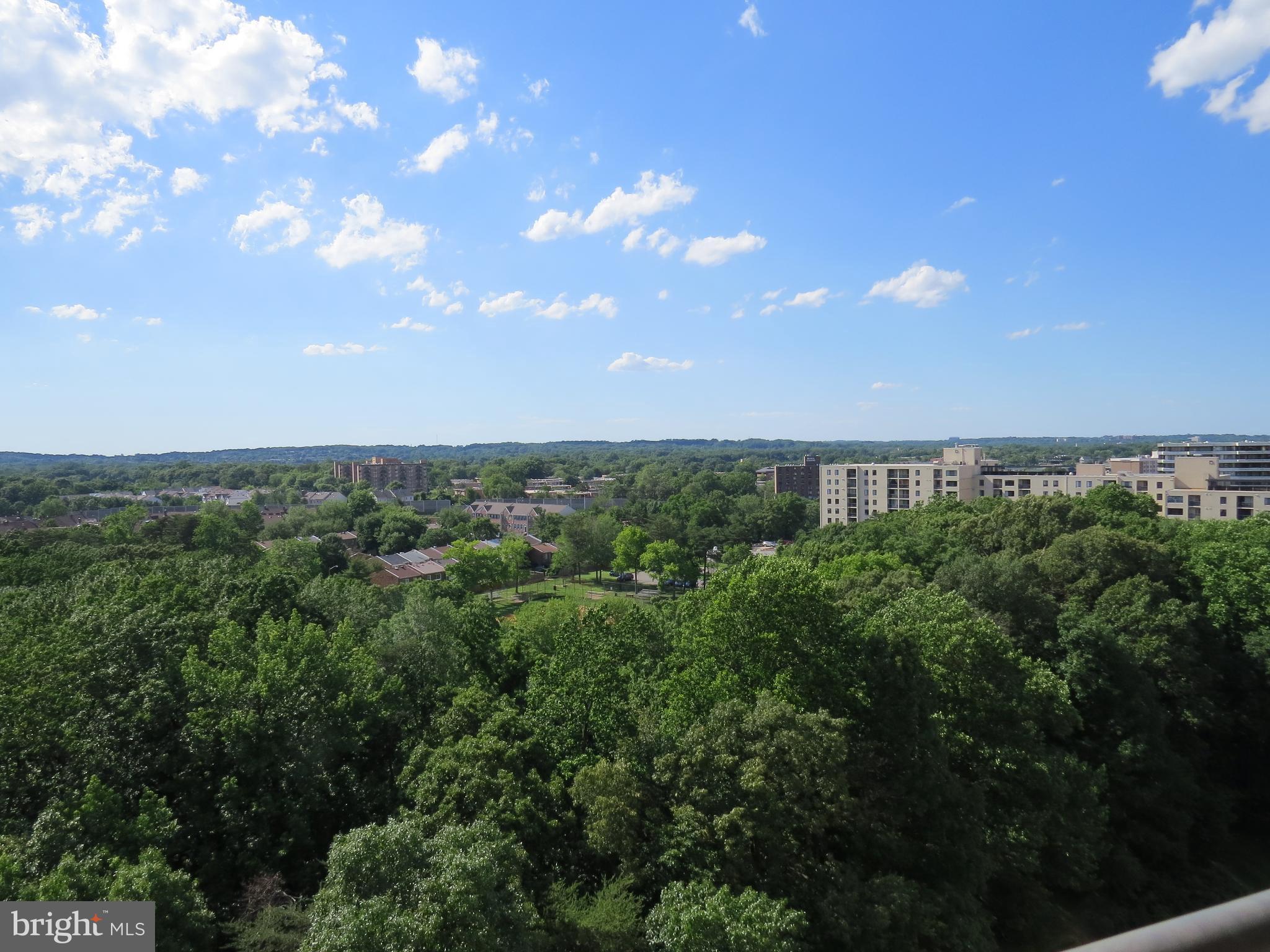 WATERGATE AT LANDMARK - Residential Lease