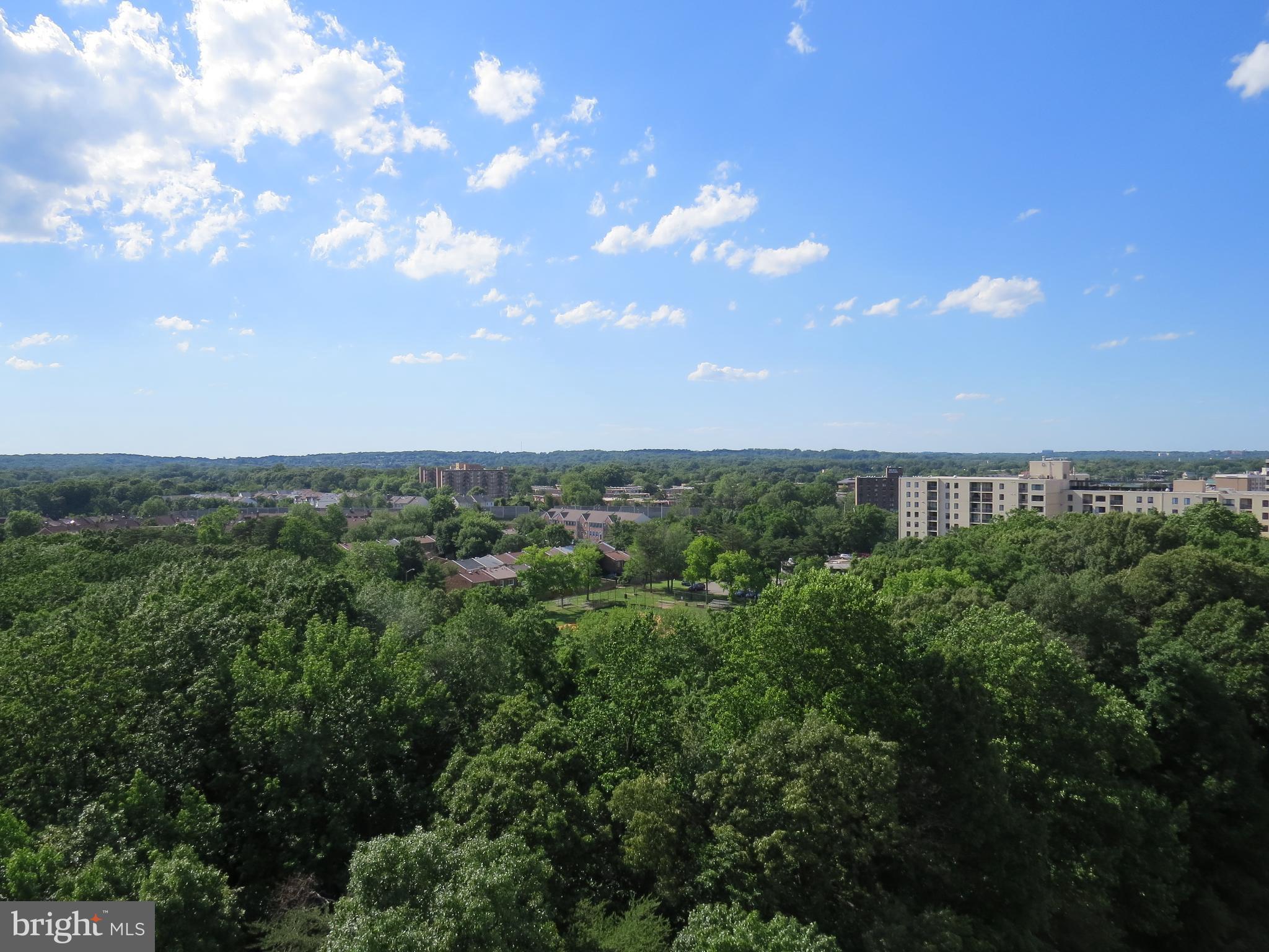 WATERGATE AT LANDMARK - Residential Lease