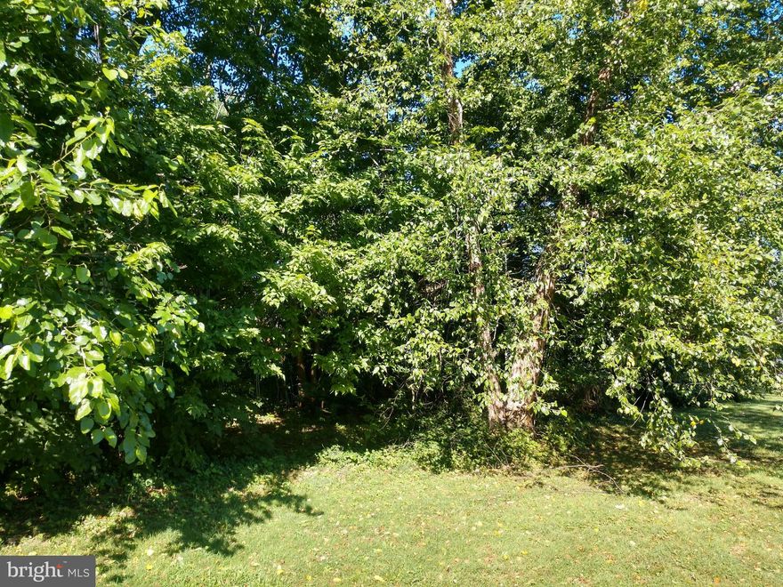 Wooded lot in Warwick Township south  of Lititz Borough- Buildable lot open to any builder-Public water & sewer to the lot