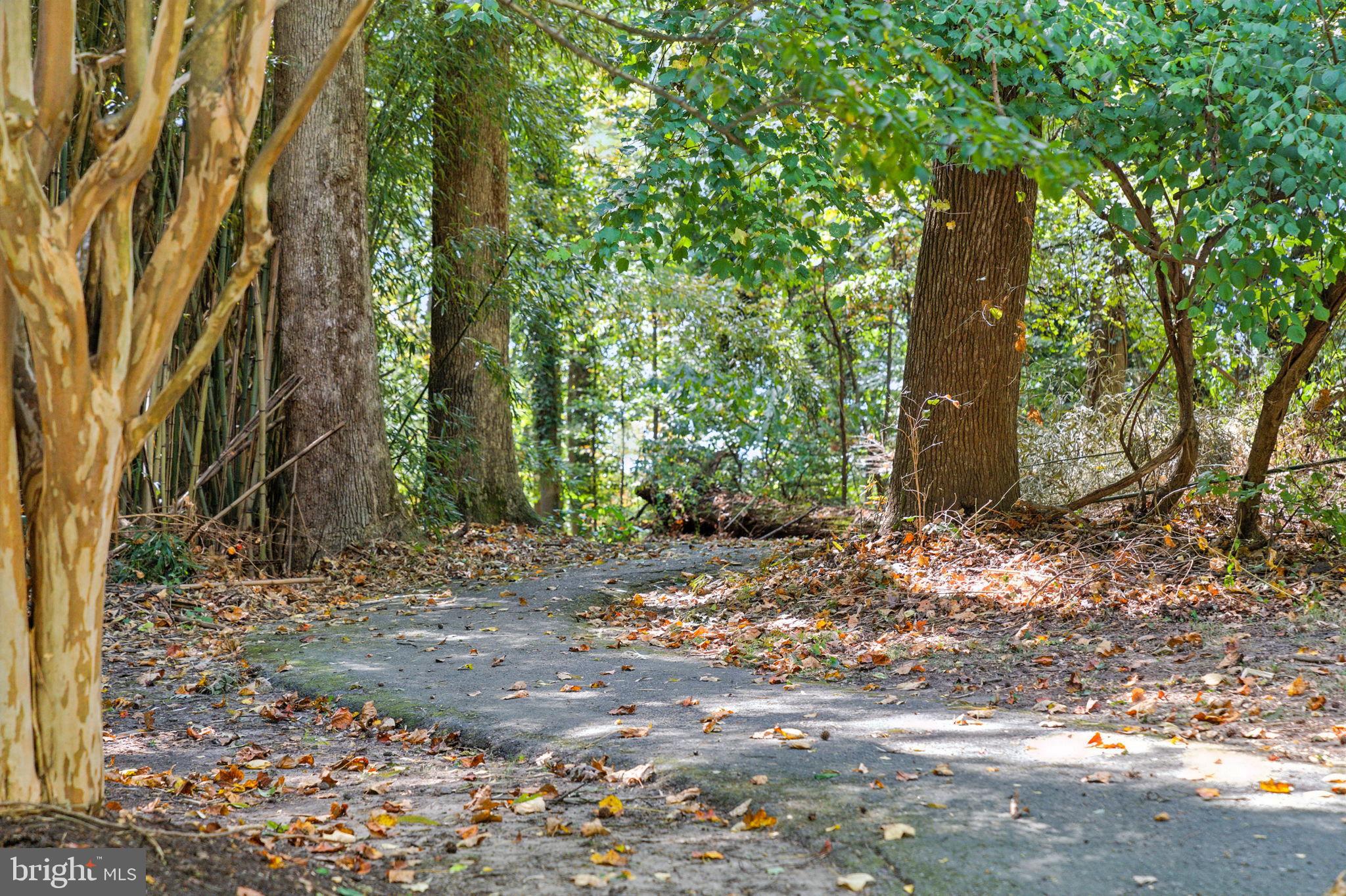 TULIP GROVE AT BELAIR - Residential