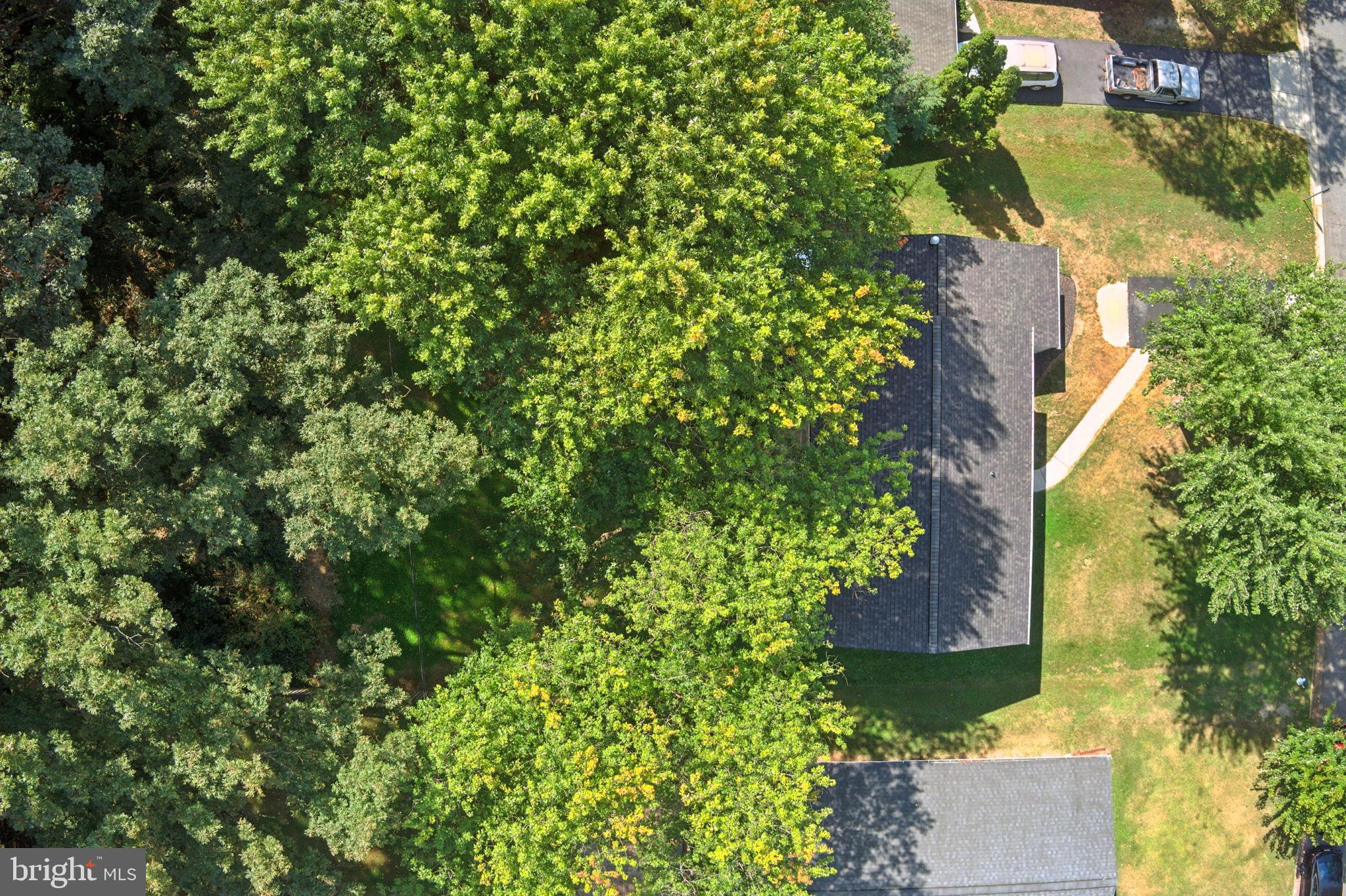 TULIP GROVE AT BELAIR - Residential