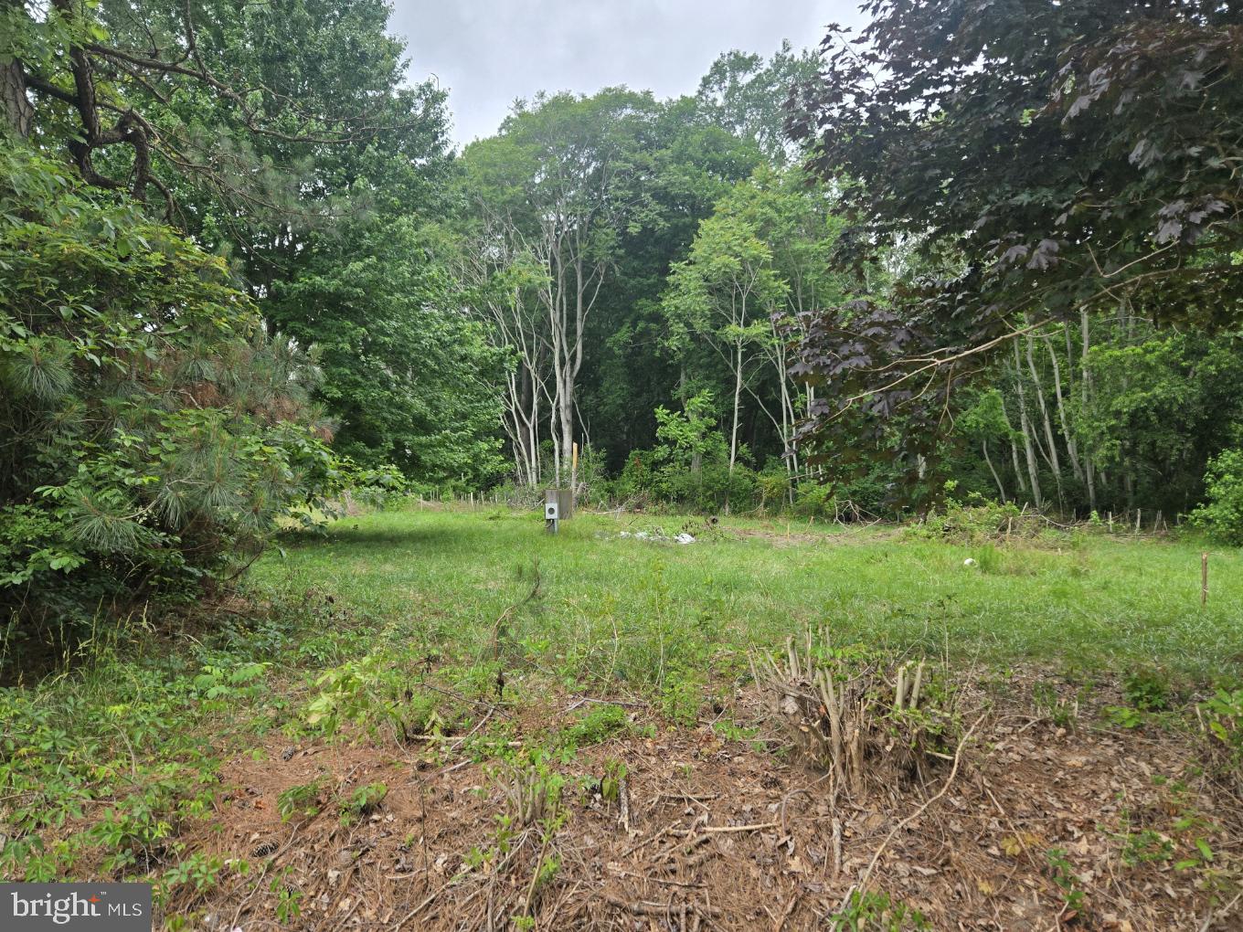 32298 POWELL FARM ROAD