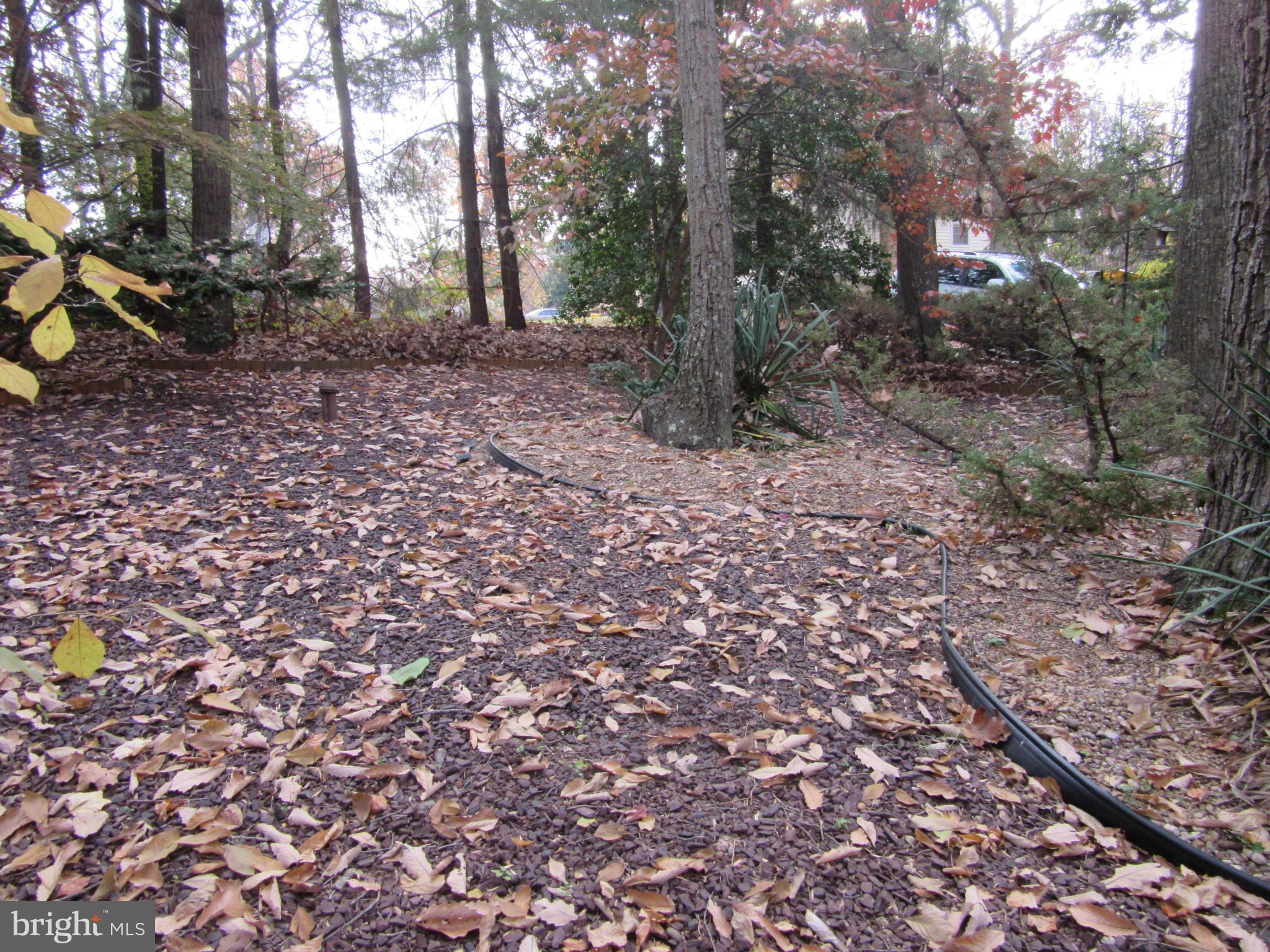 SUNRISE BEACH - Residential