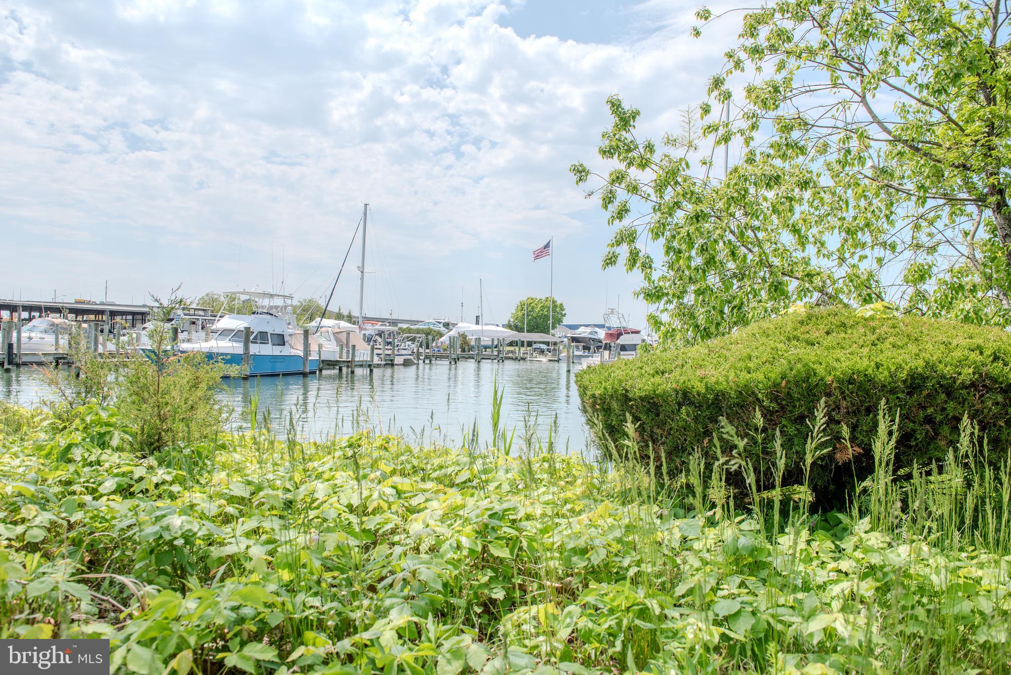 NARROWS POINTE - Residential