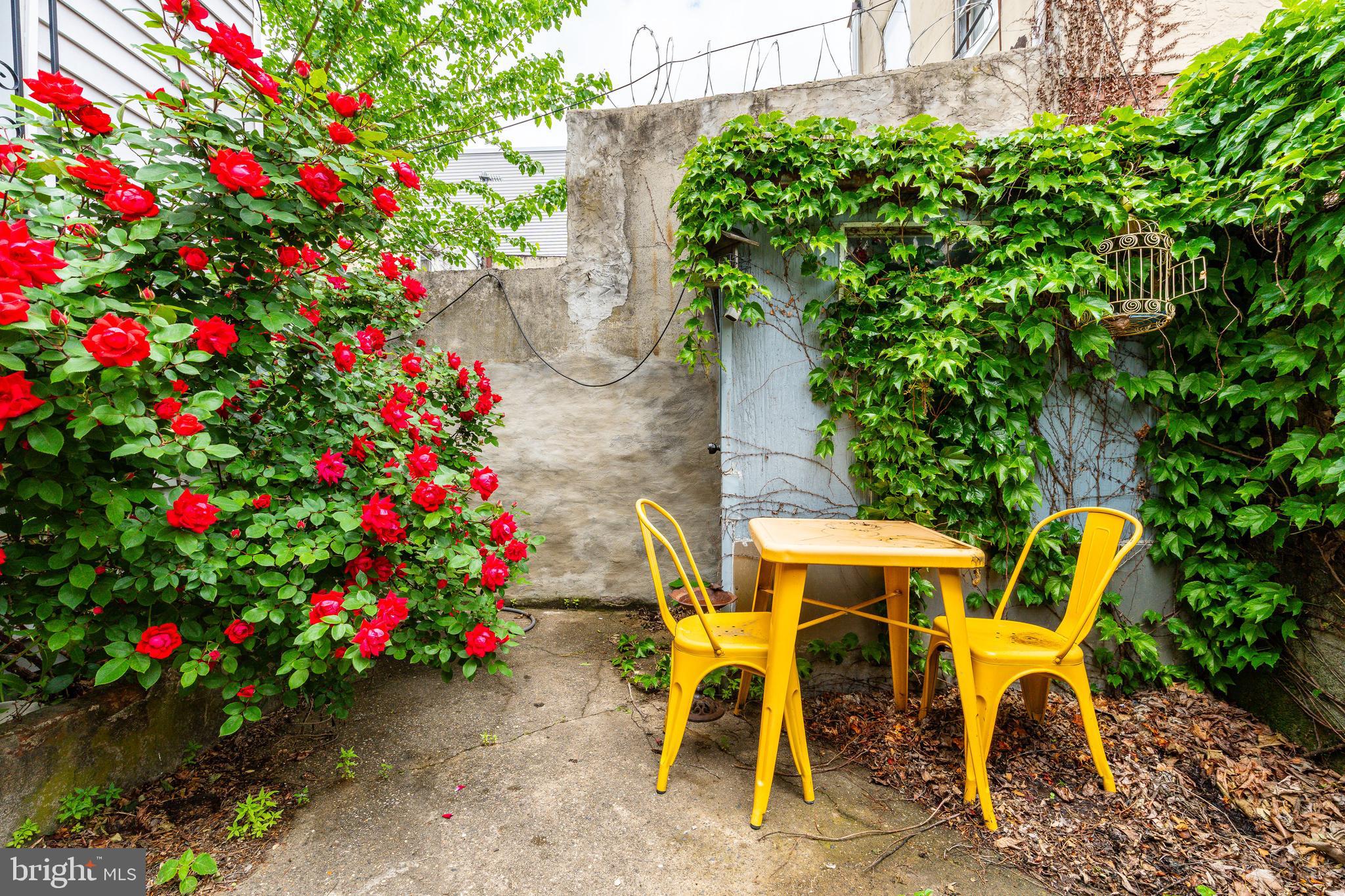 NORRIS SQUARE - Residential