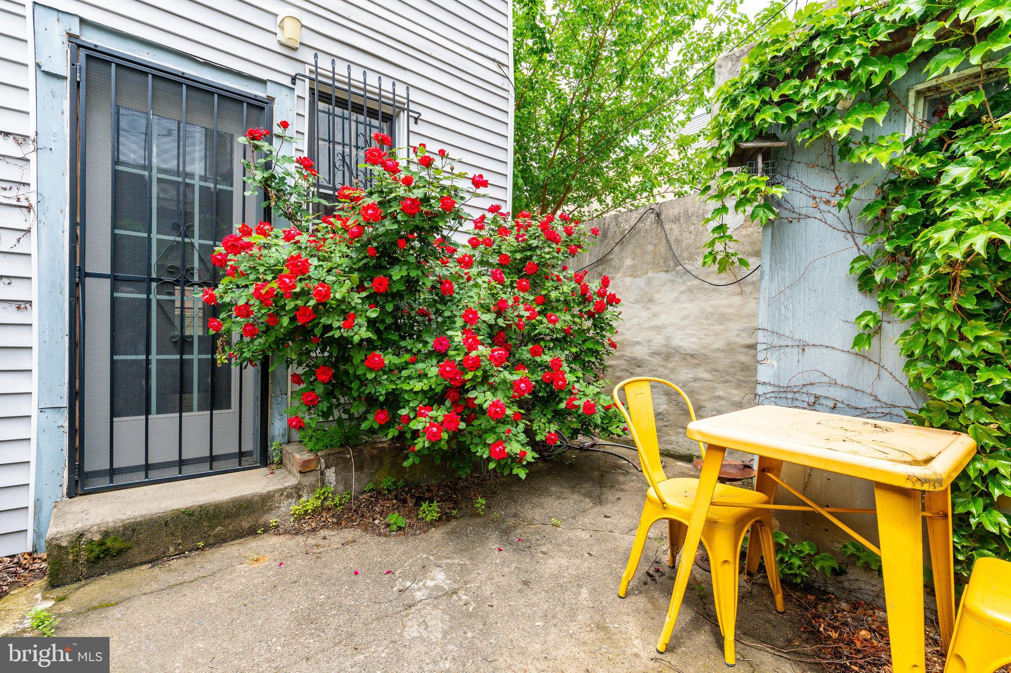 NORRIS SQUARE - Residential